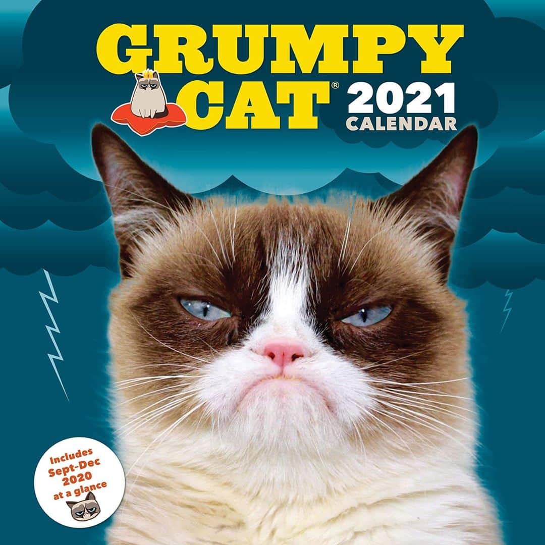 Grumpy Catさんのインスタグラム写真 - (Grumpy CatInstagram)「Ready for 2020 to be over? Prepare with a Grumpy Cat 2021 Wall Calendar!⠀ ⠀ Get it at Amazon: http://grumpy.cat/2021gcCalendar⠀ Also at Chronicle Books: http://grumpy.cat/gc2021calendar2⠀ ⠀ #grumpycat #grumpycatforever」9月3日 7時40分 - realgrumpycat