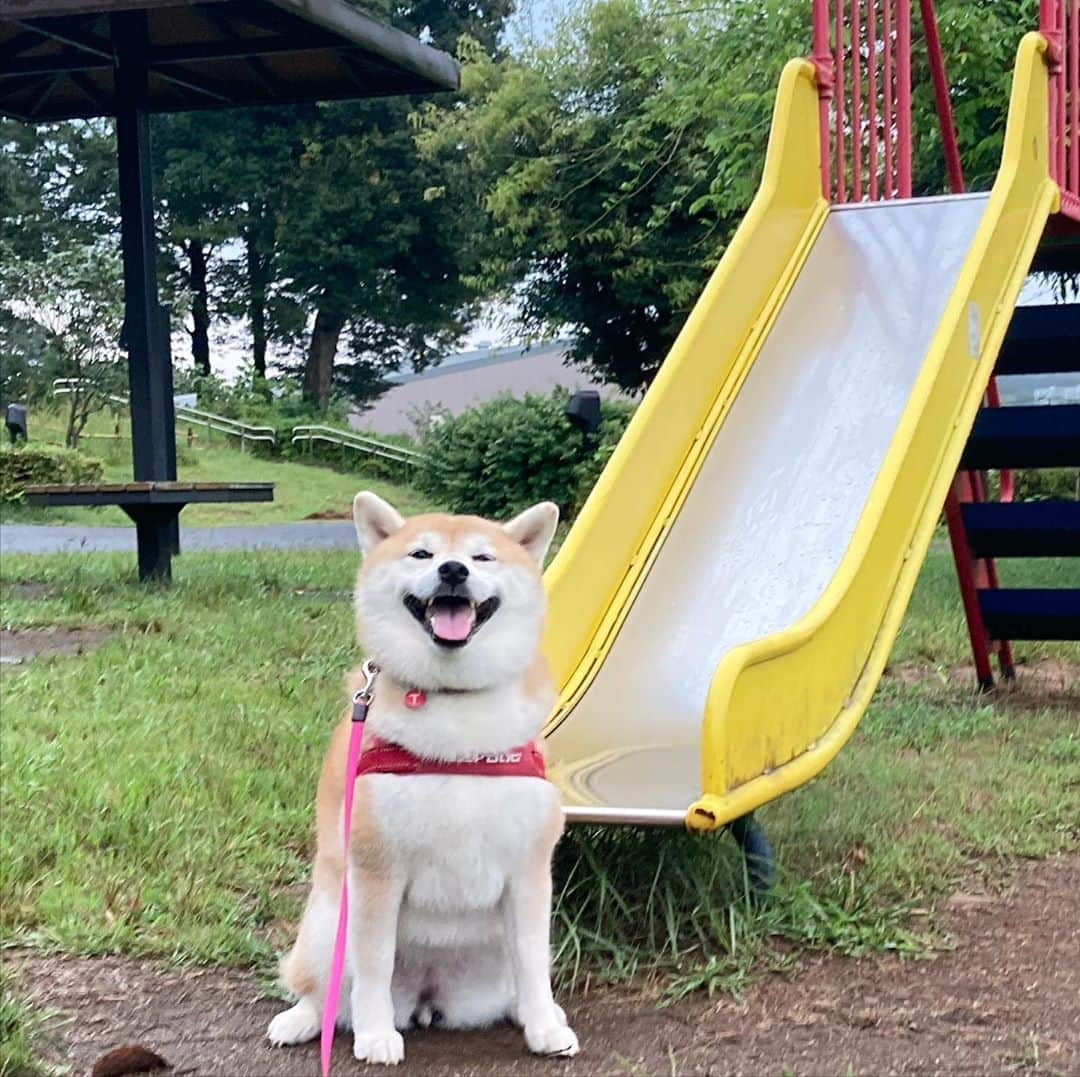 てんパパのインスタグラム