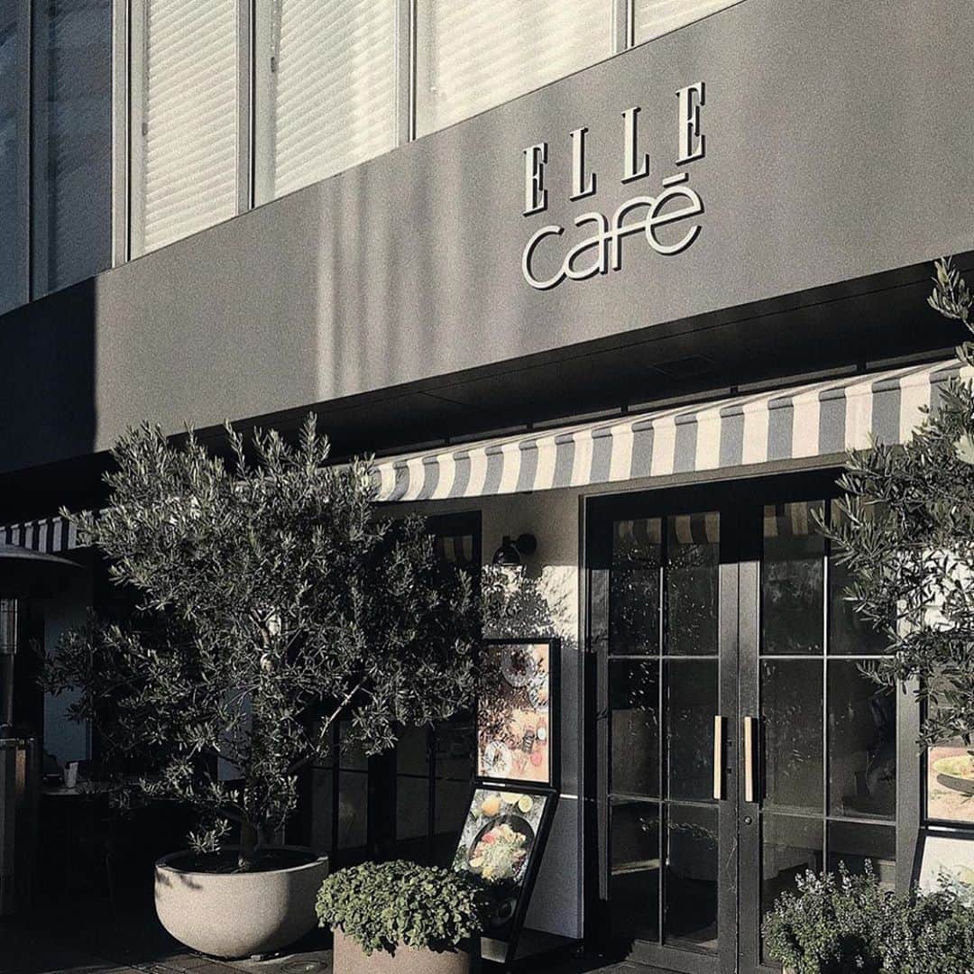 のインスタグラム：「ELLECafe ☕∗*ﾟの  苦味もクセもない 青汁にハマってる！！ 乳酸菌たっぷりなのも 嬉しくて、、  シェイカーなしでも 溶けやすいのが嬉しい！  とよた真帆さんに 紹介していただいてから、 バッグに入れて、 持ち歩いてる ♡♥︎  豆乳に入れて飲むのも 美味しかったなぁ😋  そのままでももちろん！ 蜂蜜とレモン入れても🍯 おすすめです。。  #菌ケア #ELLEcafé #大麦若葉 #ケール #青汁 #腸活 #菌活」