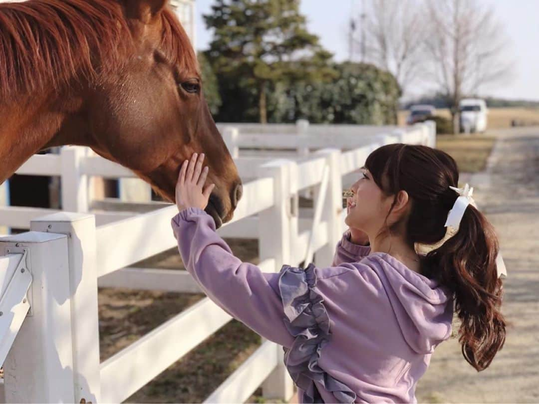 石川彩夏さんのインスタグラム写真 - (石川彩夏Instagram)「前に #ホーストレッキング しに行った #アイランドホースリゾート那須  広大な土地と、綺麗な建物は、海外にいるような気分になれる素敵な場所でした🐴 * 今回、モデルの紗栄子さんが携わる事になって #NASUFARMVILLAGE という名前に変わるとかっ🥺 * 本当は今年また行く予定でしたが😢新型コロナウイルスの影響で行くことが出来なかった中でのニュースだったのでビックリ✨ * 落ち着いたらリフレッシュしに行きたいな〜🐴」9月3日 19時36分 - ayaka0711zi