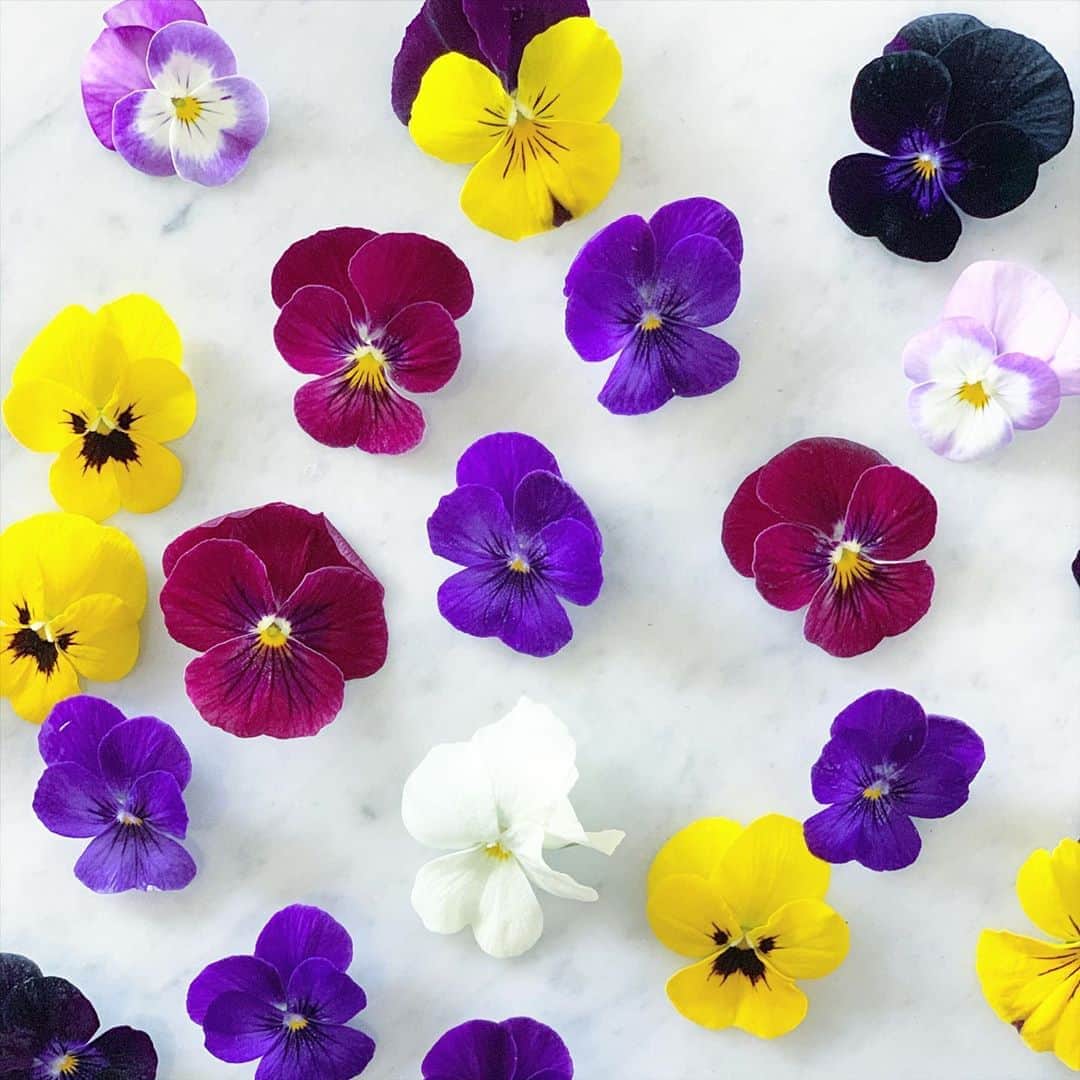 Rachien Smoothieのグルメインスタ