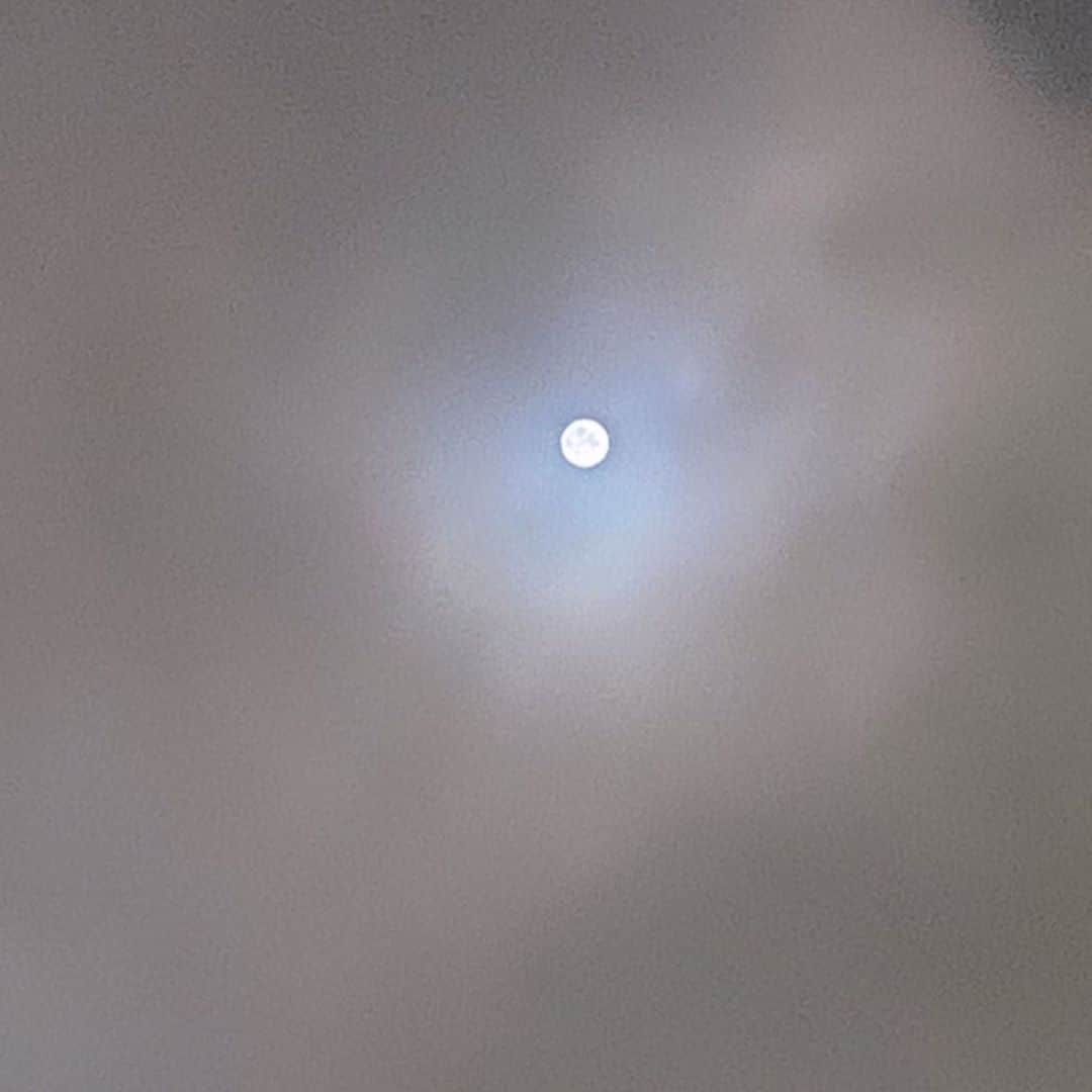 藤森香衣さんのインスタグラム写真 - (藤森香衣Instagram)「今朝の雲と、昨日の満月🌝 ・ 色んな事があっても、四季がある国で良かったなと思う。  流れる雲を見てたら、飛行機に乗りたくなった。  #四季 #空 #満月 #天気 #雲 #月 #秋がきてる #タイムラプス」9月3日 10時57分 - kaefujimori