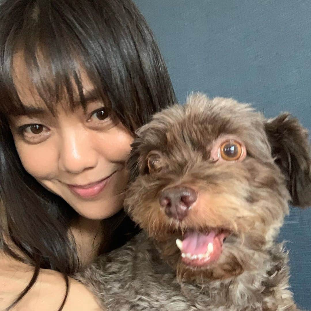 前田典子さんのインスタグラム写真 - (前田典子Instagram)「#ぼくちゃんは犬である　🐶 名前はもうある。何処で生まれたかはだいたい見当はついている。何でも明るいほんわかした所でクンクン泣いていた事だけは記憶している。ぼくちゃんはここで始めて自分に似た顔の人間を見た　😆笑  #秋目漱石」9月3日 10時59分 - maenorichang