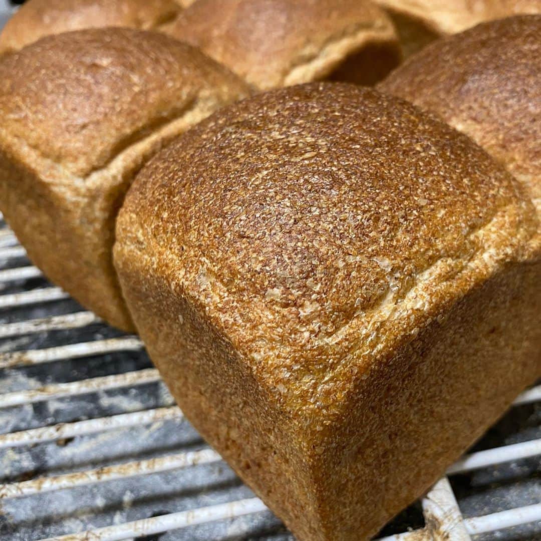 魔女菅原のグルメインスタ