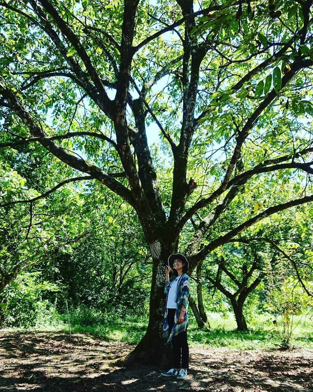 伊勢みずほさんのインスタグラム写真 - (伊勢みずほInstagram)「Mother  Tree 🌳  今日も素敵な県境人にお会いしました✨  穏やかで優しくて まるで強い陽射しから私たちを守ってくれる木陰のような、心の広い方でした✨🌳✨  #県境から行ってみずほ #水曜見ナイト #ロケ #暑い #38℃ #木陰 #お母さんの木 #感謝 #しあわせ #ありがとうございます😊 #伊勢みずほ #フリーアナウンサー #naturephotography #nature #naturelovers #naturegeography #自然 #🐻」9月3日 12時05分 - isemizuhoo