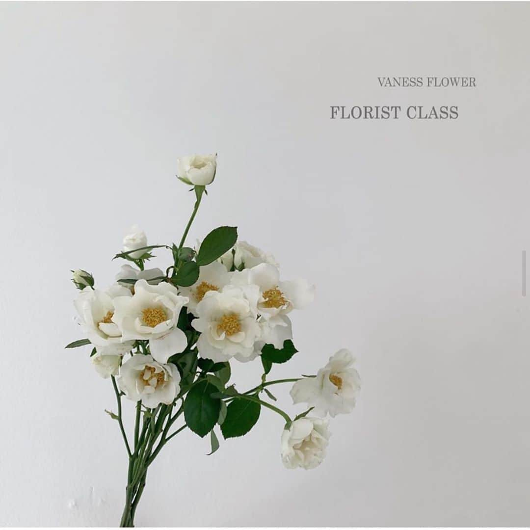 플로리스트 이주연 florist Lee Ju Yeonのインスタグラム