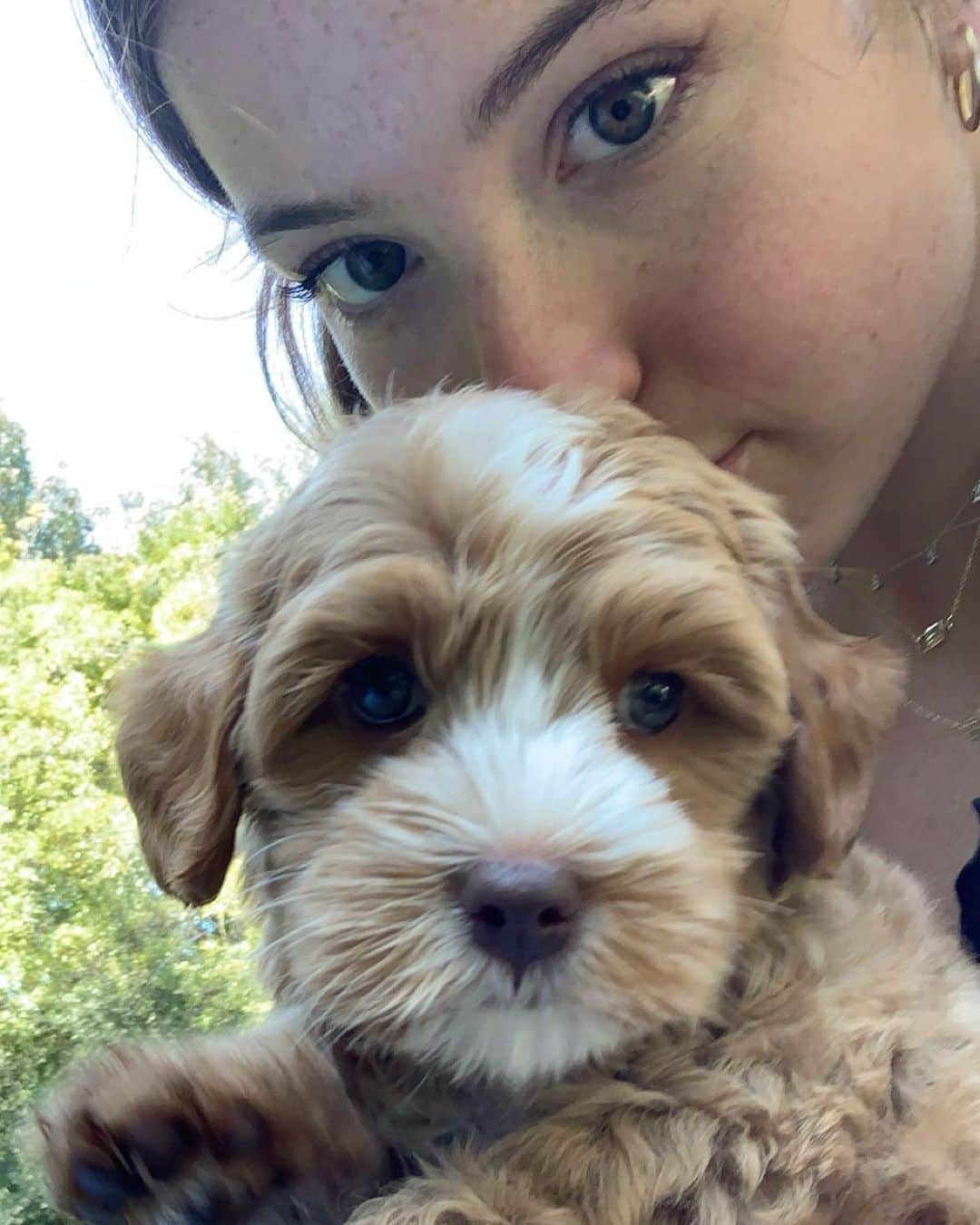 ジェニファー・グレイのインスタグラム：「welcome winnie!!! #winniethedooh」