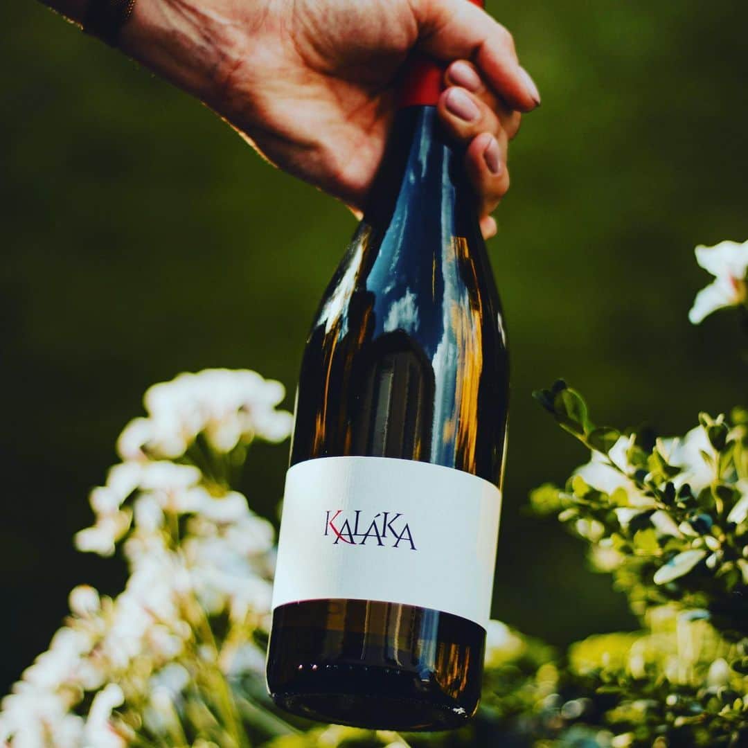 のインスタグラム：「És ha már tokaj akkor onnan a kedvenc borom. Plusz a remek képek @biczobence -től,aki már vér profi!  Ha a bor érdekel titeket akkor a @kalaka_pince oldalon keresgéljetek,esetleg ilyen remek fotókat akartok zaklassàtok bickàt😉」