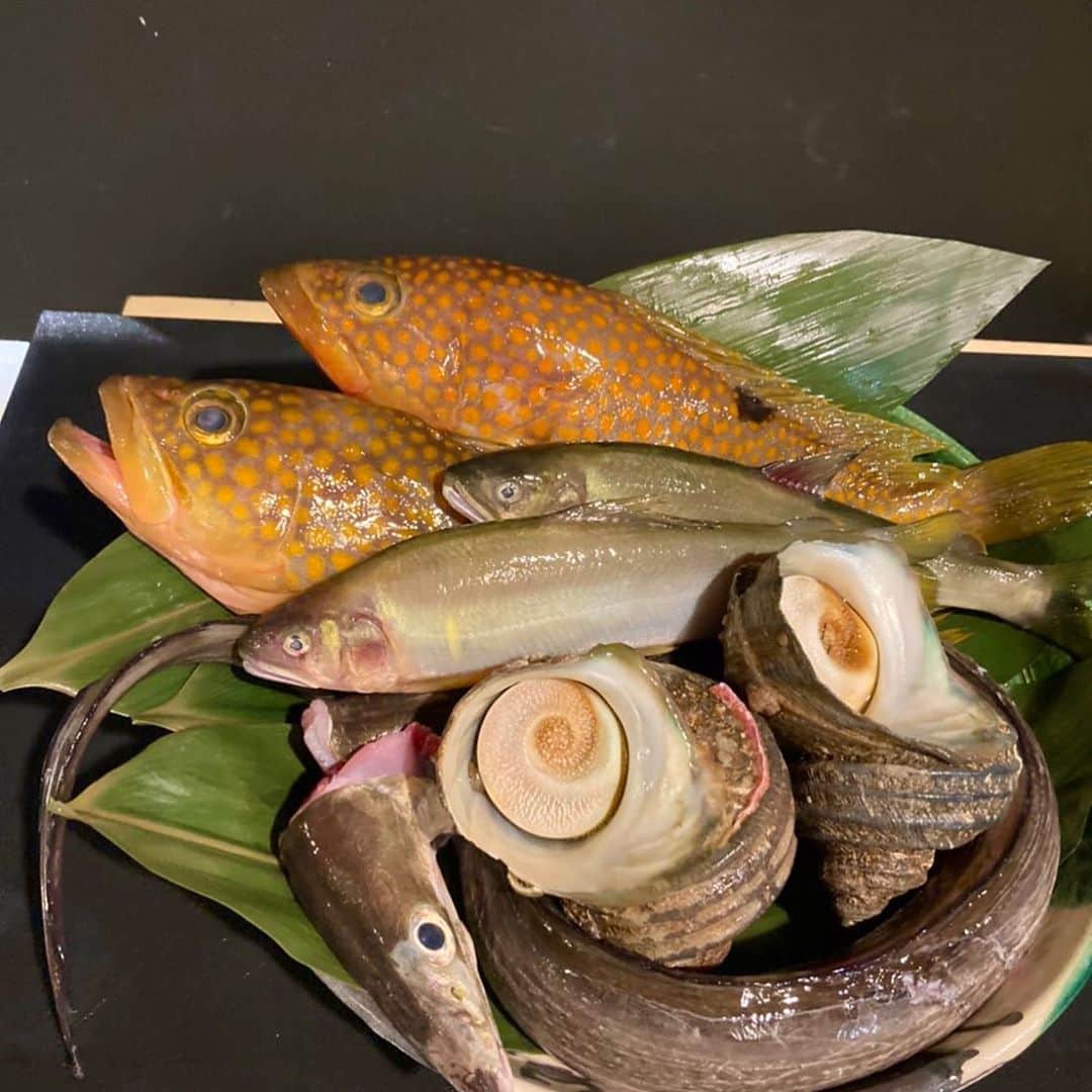 北堀江ほおずきのグルメインスタ