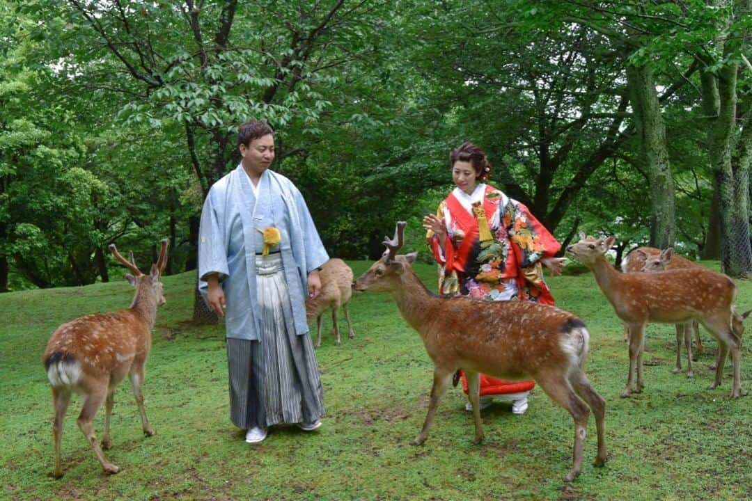 髪型ヘアスタイル・ウエディング、七五三、お宮参りのキキフォトのインスタグラム