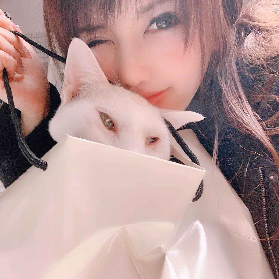 桜木ひなさんのインスタグラム写真 - (桜木ひなInstagram)「お届けに参りました"にゃ"🐱💕 ・ Uber eatsが静岡にも訪れて🛵💨 大助かり☺️💕 ・ 対面無しで玄関置きもしてくれるんだね😯 ・ 📨「このような形で置かせて頂きました！」 っと可愛いペーパーが敷かれてました🐮💕 Uber driverさん今の所皆さん親切🤫 ・ マナーとプライドを持ってお仕事してる方ってみんな素敵❣️ ・ ・ #ubereats #Ubereats静岡#ウーバードライバーさんありがとうございました #にゃ#にゃんだふるらいふ #便利#selfie #cute」9月3日 19時55分 - hina_sakuragi