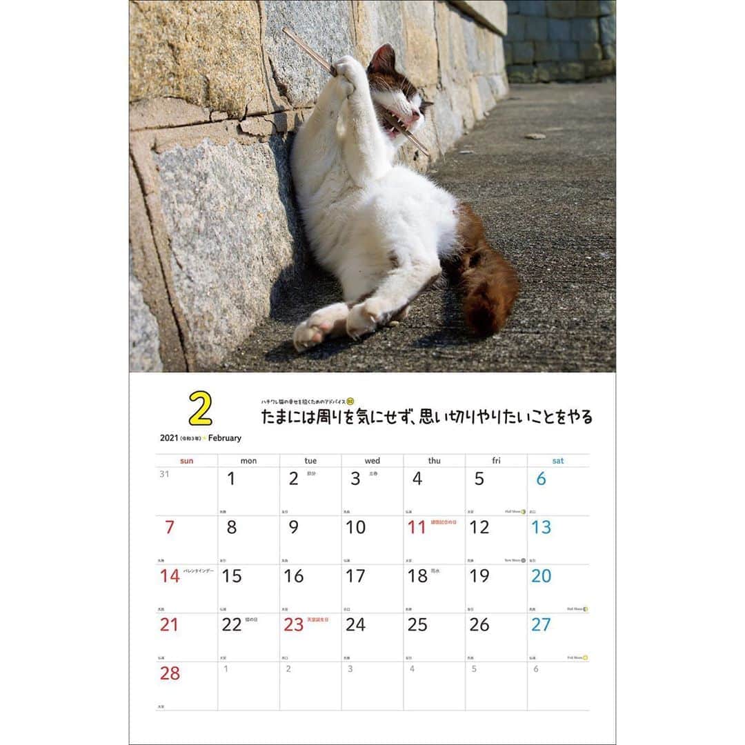 Masayukiさんのインスタグラム写真 - (MasayukiInstagram)「毎月「幸せを招くためのアドバイス」がついてくる！  2021　幸せを招くハチワレ猫　壁掛けカレンダー ￥1,320 サイズ:34cm×26cm   ※　instagramの投稿の都合で上下左右の余白を多めにとっている写真もあります。  （すべての写真） 実際の商品には余白はつきませんのでお気を付けくださいませ。  お気に召すようでしたら、全国の書店やアマゾンなどのオンライン書店にてご予約くださいませ。  ※ 2021年は5種類。」9月3日 14時51分 - okirakuoki