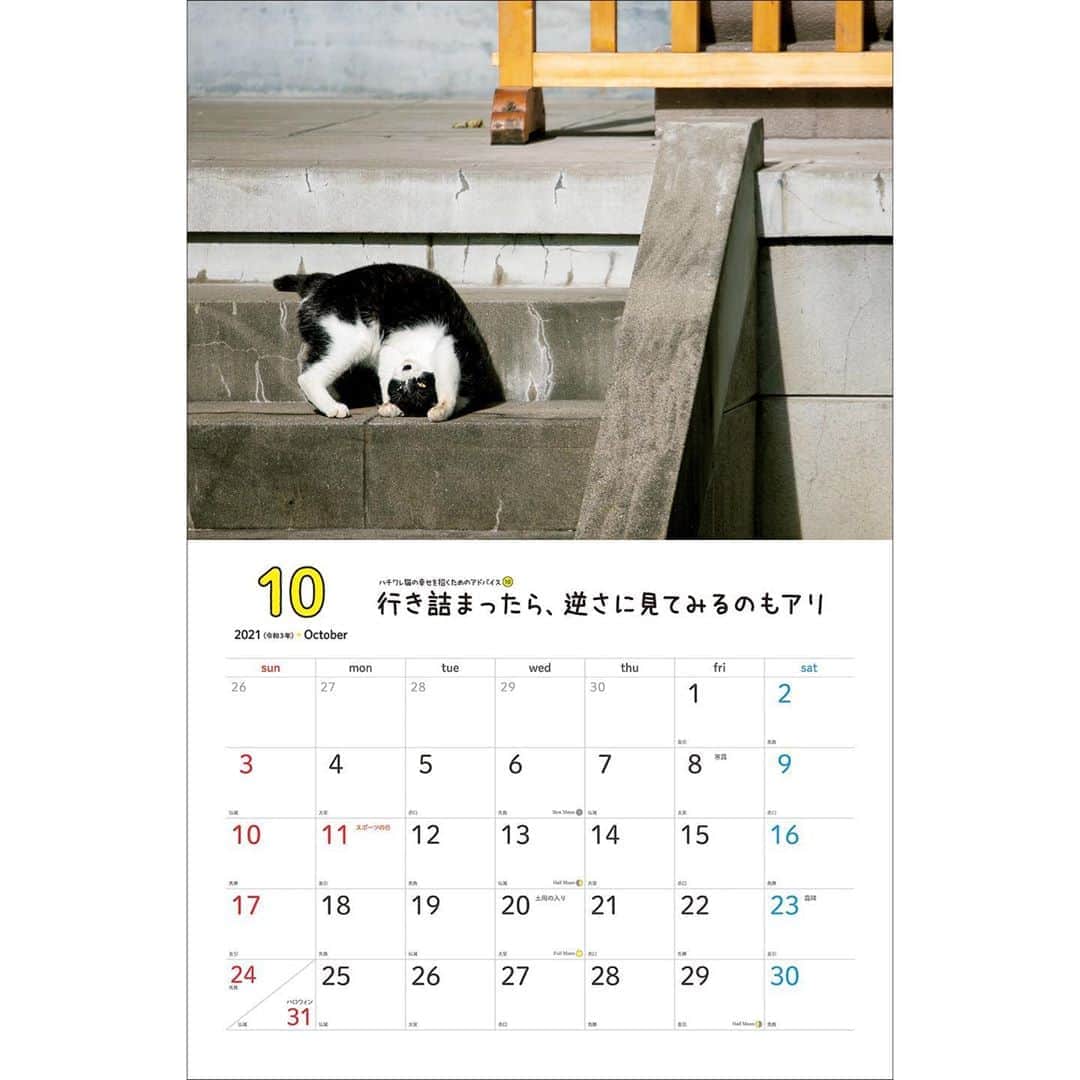 Masayukiさんのインスタグラム写真 - (MasayukiInstagram)「毎月「幸せを招くためのアドバイス」がついてくる！  2021　幸せを招くハチワレ猫　壁掛けカレンダー ￥1,320 サイズ:34cm×26cm   ※　instagramの投稿の都合で上下左右の余白を多めにとっている写真もあります。  （すべての写真） 実際の商品には余白はつきませんのでお気を付けくださいませ。  お気に召すようでしたら、全国の書店やアマゾンなどのオンライン書店にてご予約くださいませ。  ※ 2021年は5種類。」9月3日 14時51分 - okirakuoki