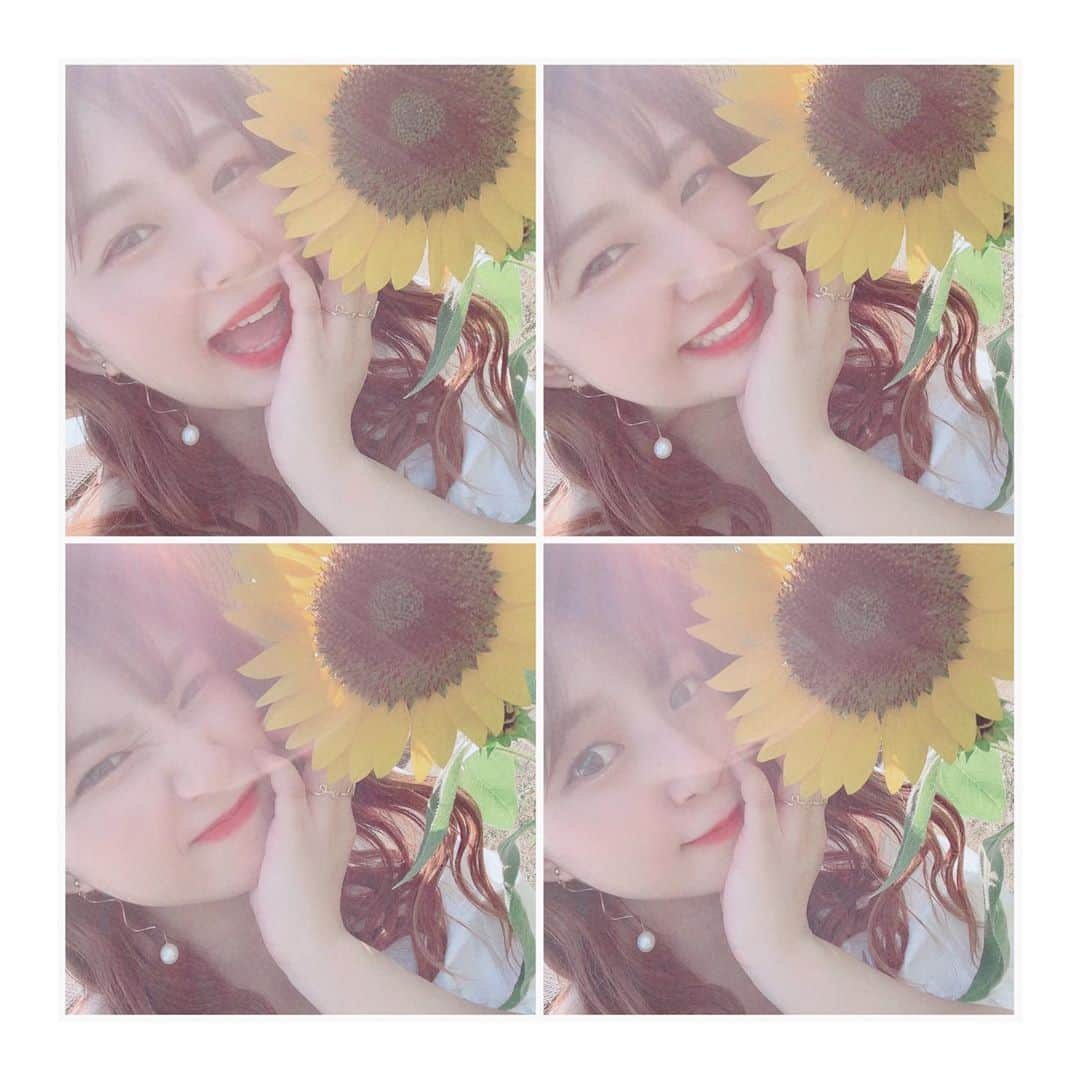 宮崎梨緒さんのインスタグラム写真 - (宮崎梨緒Instagram)「🌻🌻🌻 * もう8月終わったけど まだまだ夏の写真載せる🤭 *  #ひまわり #sunflower #해바라기  #ハーベストの丘  #instagood #얼스타그램  #데일리 #오오티디 #팔로미」9月3日 14時44分 - miyazakirio