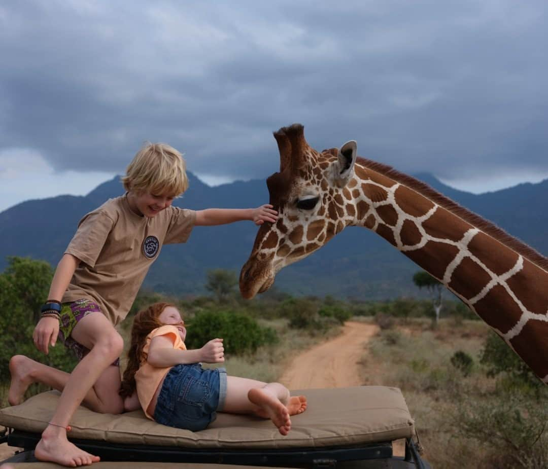 ナショナルジオグラフィックさんのインスタグラム写真 - (ナショナルジオグラフィックInstagram)「Photo by David Chancellor @chancellordavid  Kids on a game drive, Sarara camp, northern Kenya. While the country recently reopened to international tourism, arrivals are still few. So Kenya’s safari industry pivoted to domestic tourists, who are emerging from hibernation. Many are starting to reacquaint themselves with the wildlife and environment that’s been locked away from them for months. This is injecting much-needed income into conservation, supporting communities that have been devastated by the lockdown impact of COVID-19. For wildlife, seeing humans around again is a bit of a shock, especially for this hand-reared giraffe who was orphaned at one week old, and subsequently bottle fed before being released back into the wild. Life without people has been kind of odd. To see more follow me @chancellordavid @sararacamp #kenya #africa #northernkenya #giraffe #wildlife」9月3日 15時40分 - natgeo