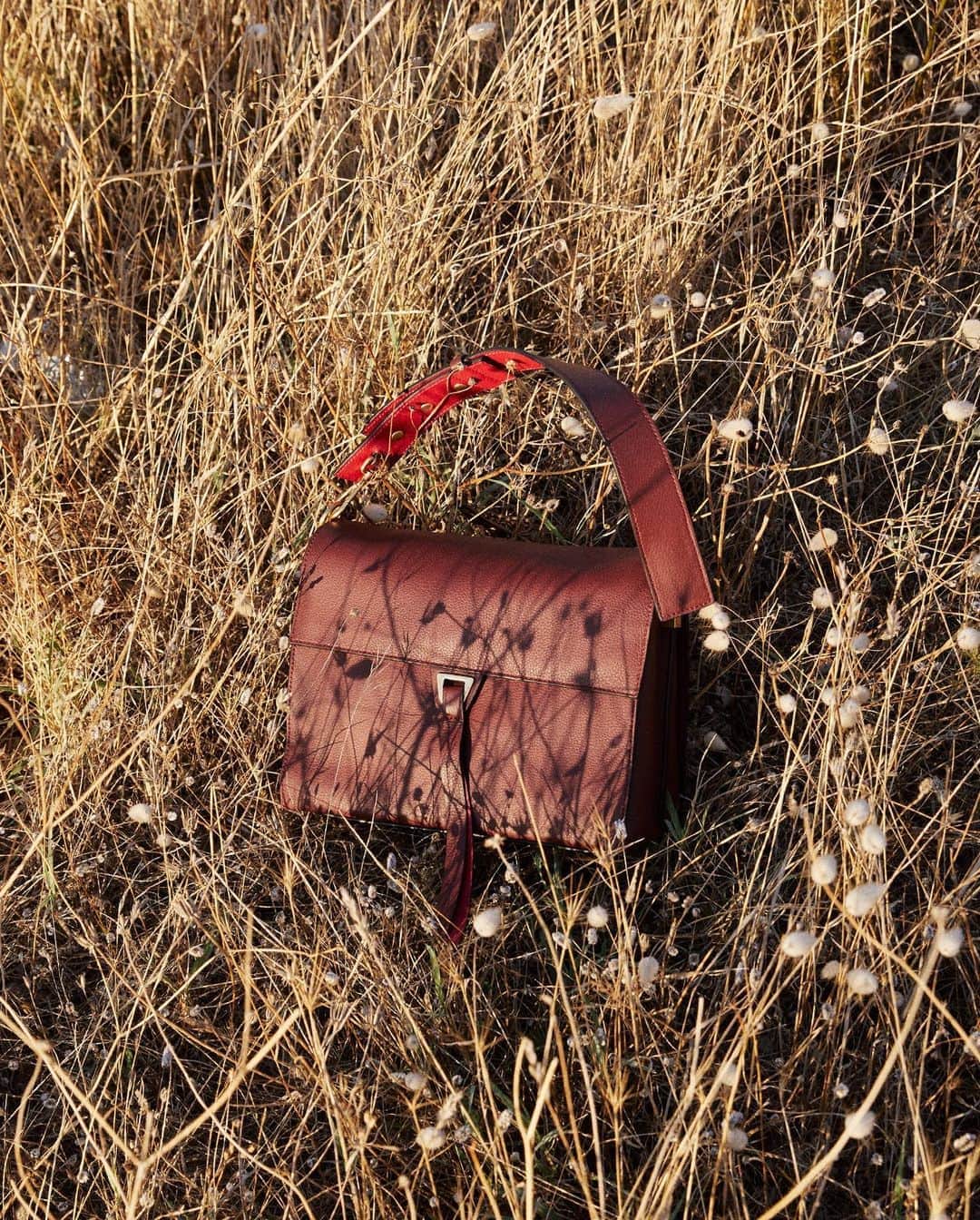 のインスタグラム：「The slow pace of Italian lifestyle, the most beautiful natural setting and the perfect bag: Louise #Coccinelle #Precollection #Staycation #ItalianHolidays #ItalianSummer #CoccinelleBags #Beauty #Louise」