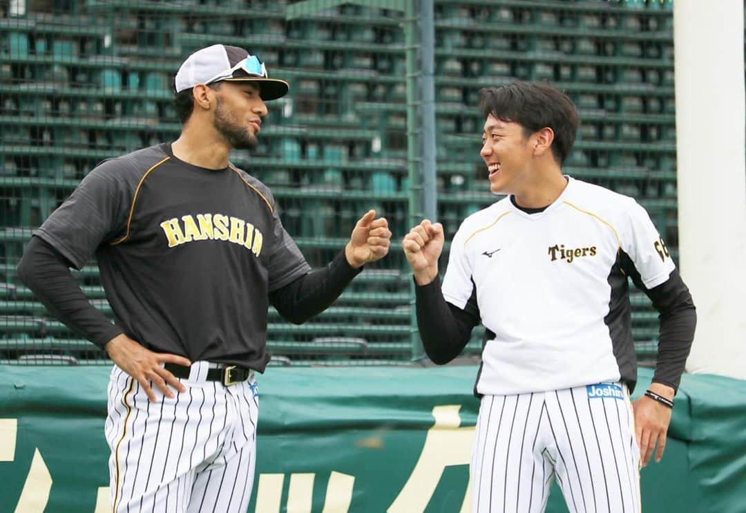 阪神タイガースのインスタグラム