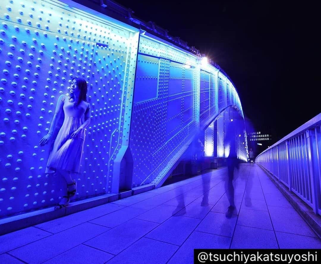 木谷有里さんのインスタグラム写真 - (木谷有里Instagram)「夜のライトアップ本当にキレイでした💙  Photo by @tsuchiyakatsuyoshi   #永代橋 #eosr6 #土屋勝義 #canon #model #橋シリーズ　#橋と私」9月3日 16時38分 - kitani_yuri