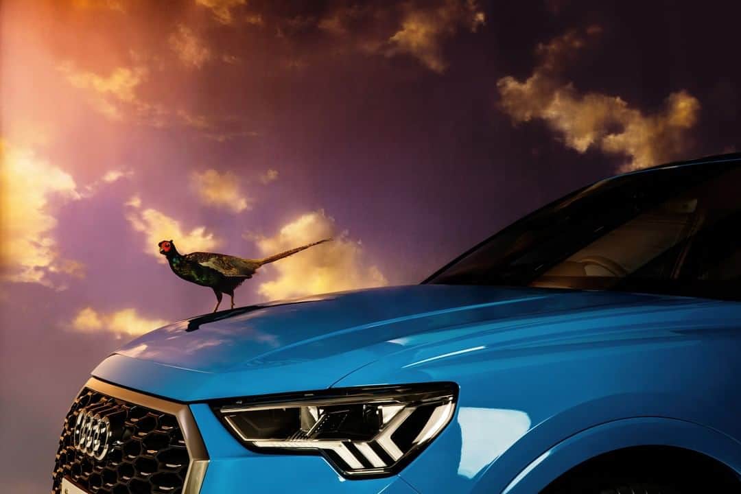 のインスタグラム：「写真家・磯部昭子( @akikoisobe )がとらえる、Audi Q3 Sportbackの魅力。 大地のように美しい車をファンタジーのイメージに浮かべて撮る、それが磯部昭子のテーマ。  まるで映画のワンシーンのような景色が、ブルーのボディに浮かび上がります。  #AudiQ3 #自分だけのアングルを #磯部昭子 #SWITCH  @switch_magazine  #Audi #アウディQ3 #Audijapan #アウディ #carwithoutlimits #carsofinstagram #Audiworld #Audigenic #車好きな人と繋がりたい」