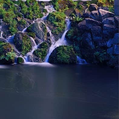 ホテル椿山荘東京さんのインスタグラム写真 - (ホテル椿山荘東京Instagram)「もう少し暑い日が続きそうですね。涼しげな滝をお届けします♪ We bring you a refreshing summer.  @hotelchinzansotokyo_official  #garden #waterfall #refresh」9月3日 16時43分 - hotelchinzansotokyo_official