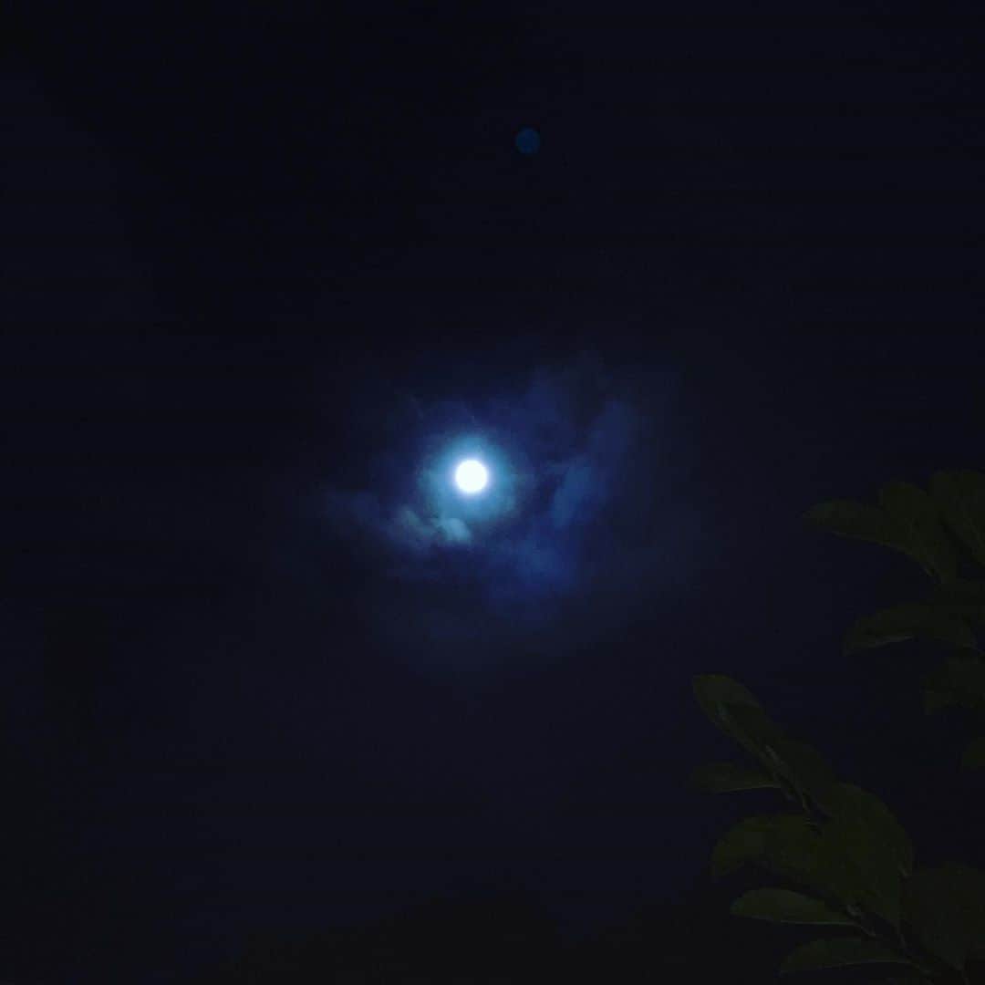 橋本麗香のインスタグラム：「🌕✨✨✨🪐 綺麗だった〜☺️」