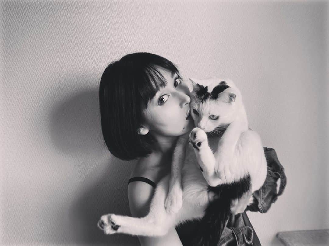 佐藤乃莉さんのインスタグラム写真 - (佐藤乃莉Instagram)「がぶぅー🦖  新潟は暑いみたい、大丈夫かな？  #おすし #love#family#cat#photo#photography #pic#ねこ#blackandwhite」9月3日 17時09分 - nori_sato_