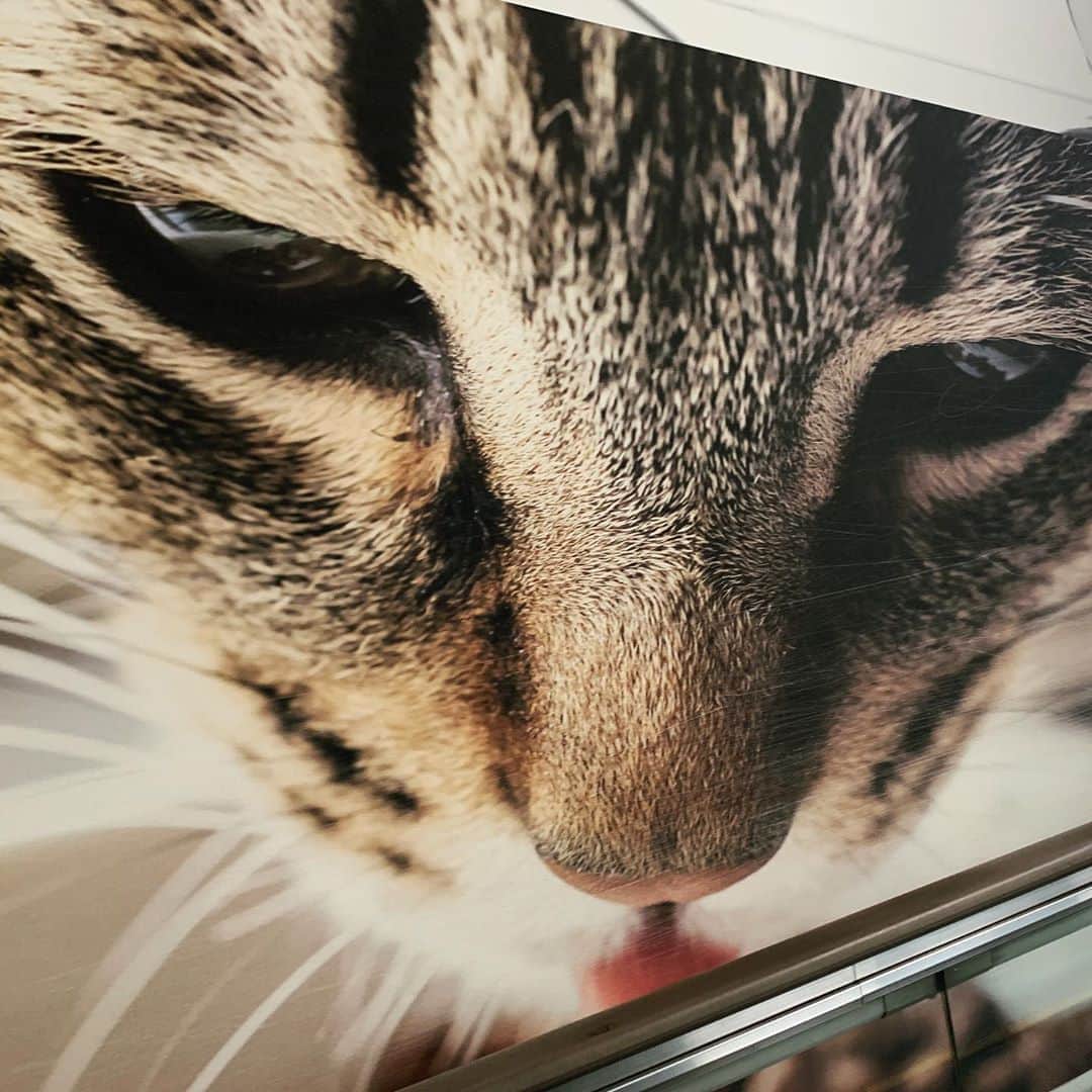 小谷実由のグルメインスタ