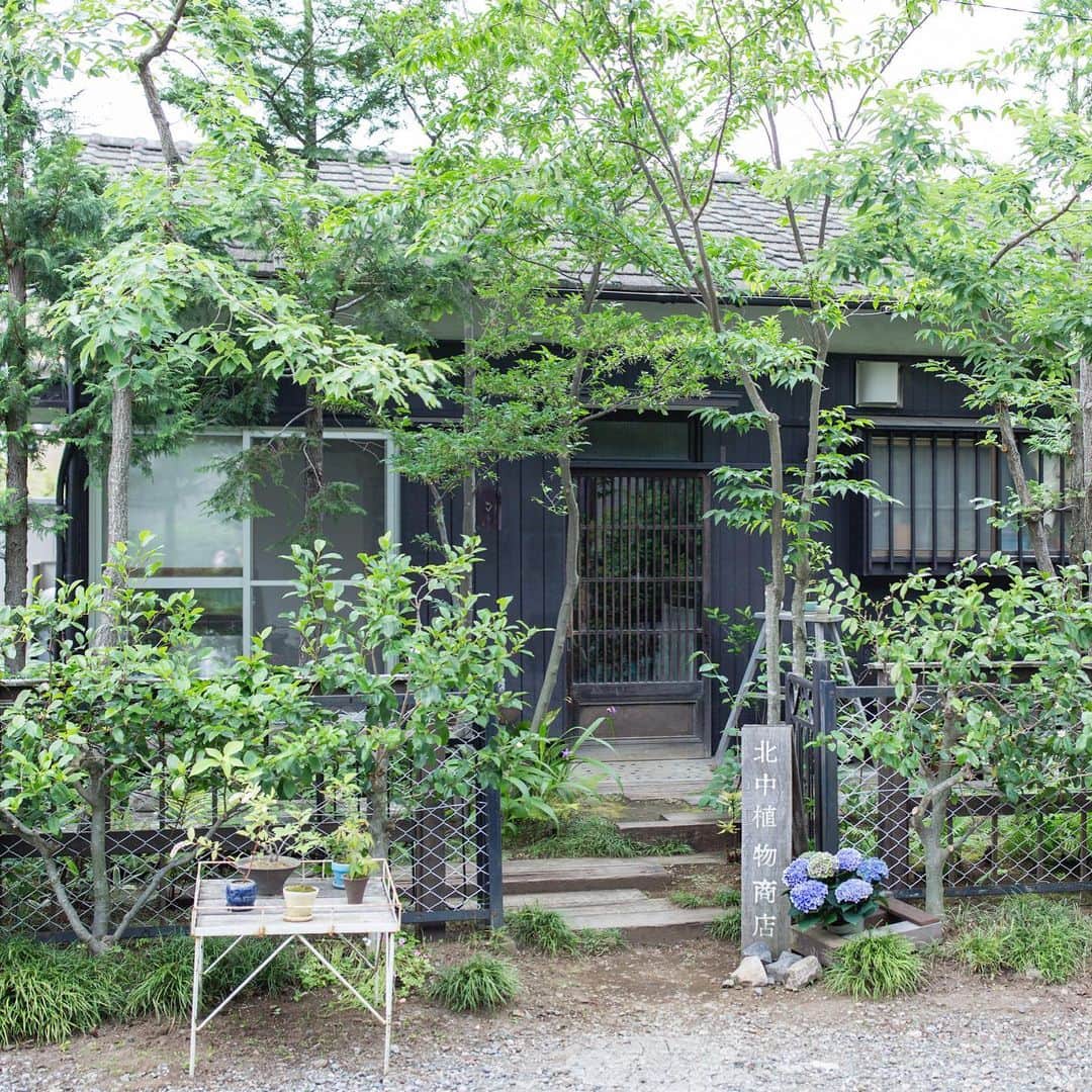 手紙社さんのインスタグラム写真 - (手紙社Instagram)「【北中植物商店『アンティーク紫陽花と秋の実のリース作り』ワークショップ at 手紙舎 2nd STORY】﻿ 東京蚤の市で多くの女性の心を掴んできた北中植物商店・小野木彩香さんの2冊目となる書籍『朽ちてなお美しいドライボタニカル入門』（エクスナレッジ）の出版を記念して、10月1日（木）に手紙舎 2nd STORYでアンティーク紫陽花と秋の実のリース作りのワークショップを開催いたします。講師の小野木さんが提案するのは、紫陽花をベースに季節の花と実物をたっぷりあしらった直径20cmほどのリース。花のパーツを作り、1本のワイヤーで巻き上げていきます。生花で作り、飾りながらドライへと変化していく様子を時間をかけて楽しむことができます。同じ趣味を持つ仲間とテーブルを囲み、少し早い冬支度を行いましょう。﻿ ﻿ 詳しくは▶︎プロフィールページのリンク「手紙社公式webサイト」→「EVENT INFORMATION」→「北中植物商店『アンティーク紫陽花と秋の実のリース作り』ワークショップ at 手紙舎 2nd STORY」へ﻿ ﻿ #手紙社 #手紙舎 #手紙舎2ndSTORY #tegamisha #北中植物商店 #リース #ワークショップ」9月3日 17時56分 - tegamisha