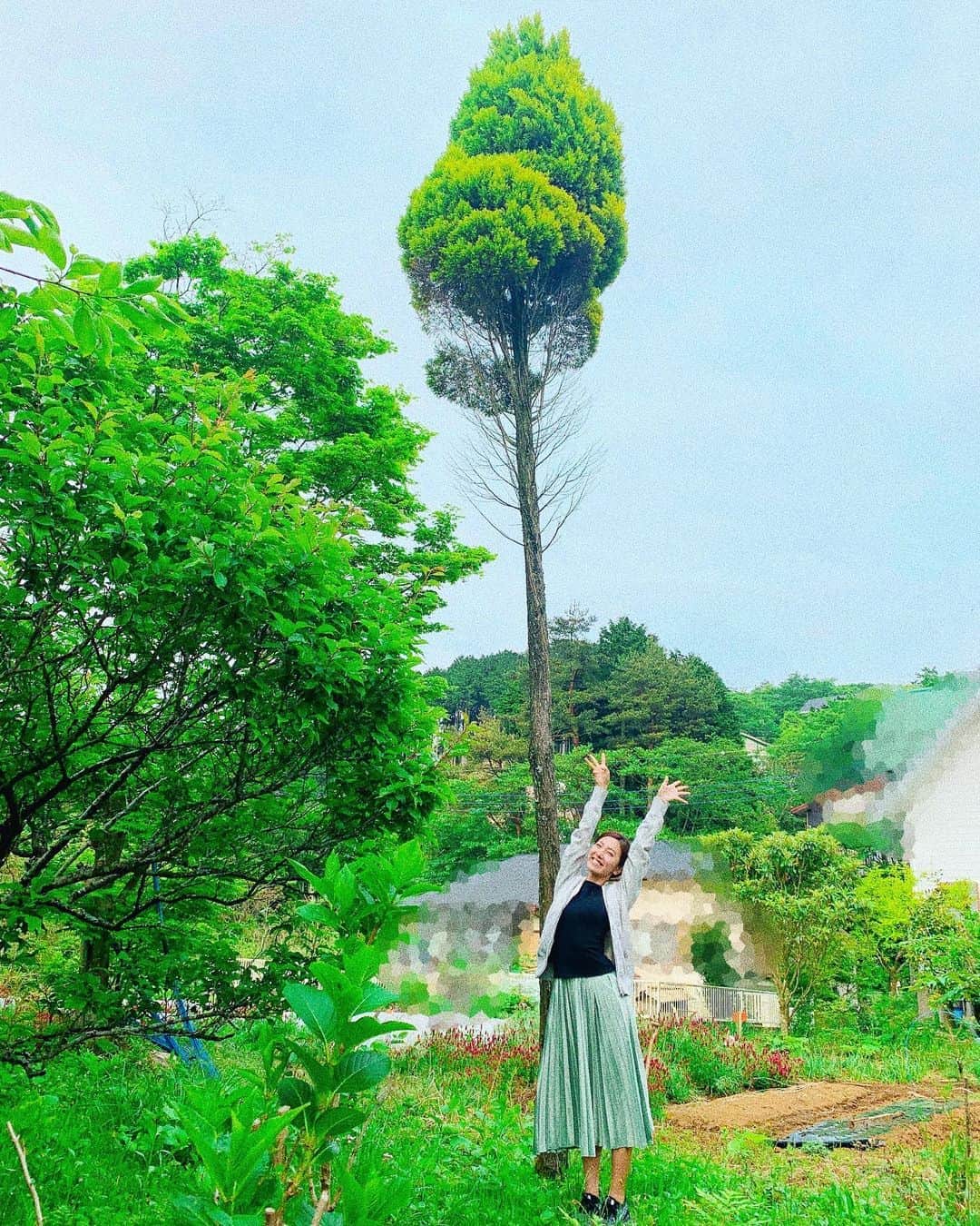 小澤陽子さんのインスタグラム写真 - (小澤陽子Instagram)「𝚒𝚗 𝚙𝚛𝚒𝚟𝚊𝚝𝚎❁  私と同い年の木🌲🙌🏻  この木は、私が生まれた”29年前”に、 家族が植えてくれたそうなんです！  一緒によう育った🥺🌿 こんなに大きくなっちゃって！ 下のほうはげちゃって！  . . .  そして、、 ９月に入りましたが、 暑さが和らいでいく一方で、 台風が発生しやすい時期になりますね。  自然災害って本当に怖い。 去年も台風被害の大きかった、様々な現場を取材させていただきましたが、 早めの対策/準備をしておくことが必要だと感じました。  ー　雨戸を閉める ー　窓などから離れて寝る ー　携帯の充電(充電器の電池補充も) ー　湯船のお湯を流さないでおく ー　ペットボトルにお水を入れておく ー　懐中電灯など光になるものの準備 ー　この暑い時期なので糖分になる物  などなど。 水道や電気が止まるなどという 万が一のケースも想定した『備え』。 私も、しておきます💪🏻」9月3日 20時22分 - yoko.ozawa729