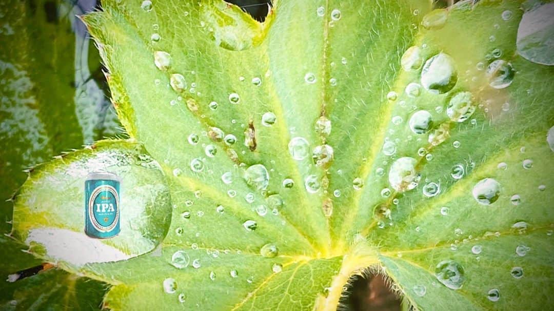 のインスタグラム：「水鏡や水晶球は見る人の欲望や必要なものを見せてくれる🍺と言うことでいただいたペールエールを堪能しながら写真を整理😋 #ipa #beer #beerstagram #timeforipa #🍺」