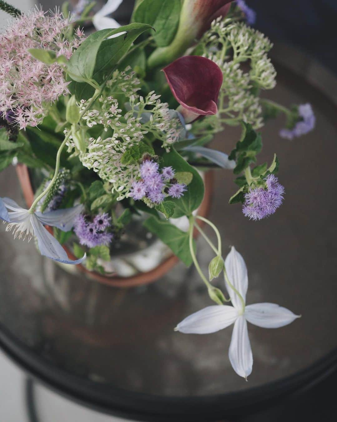 大橋菜央さんのインスタグラム写真 - (大橋菜央Instagram)「Flowers for the week﻿𓆸𓆸𓆹 ﻿ ﻿ ﻿ ﻿ わが家に来て明日で1週間﻿ まだまだ元気な今週のお花﻿ ﻿ #撮り忘れがち🤣﻿ ﻿ #クレマチス﻿ #カラー﻿ #トラノオ　#フォレストブルー﻿ #ムラサキベンケイソウ﻿ ﻿ ﻿ ﻿ #flowerstagram  #flowersfortheweek #花のある暮らし #花のある生活 #今週の花 #naoliving_flowers」9月3日 20時45分 - naoliving