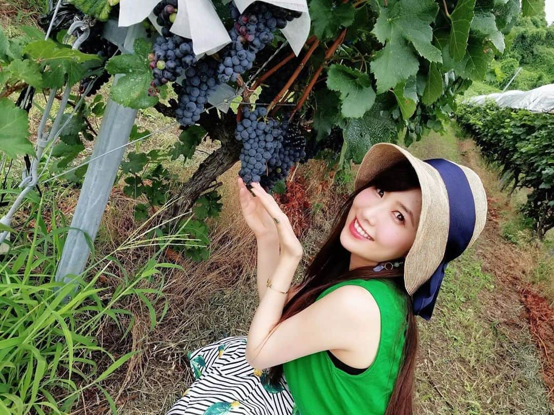 千代田唯さんのインスタグラム写真 - (千代田唯Instagram)「🌸お知らせ🌸シャンパン好き必見🥂 🔸9/13 15時〜 ♦️『アフタヌーン　シャンパーニュ　ZOOMパーティー』 シャンパン・ヴィクトワール🍾×マカロ　ンエショコラ🧁コラボ企画 MCをさせて頂きます😊 ・ シャンパンとマカロンが楽しめて4000円✨パーティにも参加できる！ とってもお得です💗 そしてZOOMでの初MCなので、、、知ってる方応援してくださる方参加して頂けばとっても心強いです🙇‍♂️✨がんばります！ 一緒に乾杯時しませんか？😊  https://www.tycwines.com/smartphone/detail.html?id=000000000126  #シャンパン#シャンパンとマカロン#ヴィクトワール#ワインエキスパート#アフタヌーンパーティ#西荻窪#マカロンエショコラ#神主アイドル#ワイン好き#ワイン好きな人と繋がりたい#ワイン#ワインのある暮らし#ワインスタグラム #お酒好きな人と繋がりたい #wine#instawine #winelover #winestagram #wineteller #winewinewine#instawine#japanesewine」9月3日 20時55分 - chiyodayui0920