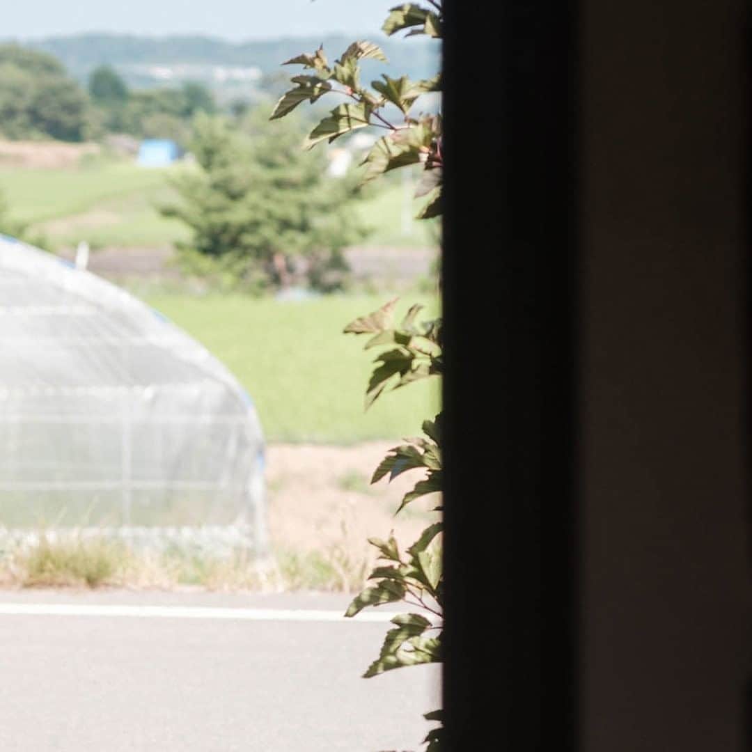 ヒラハルのグルメインスタ