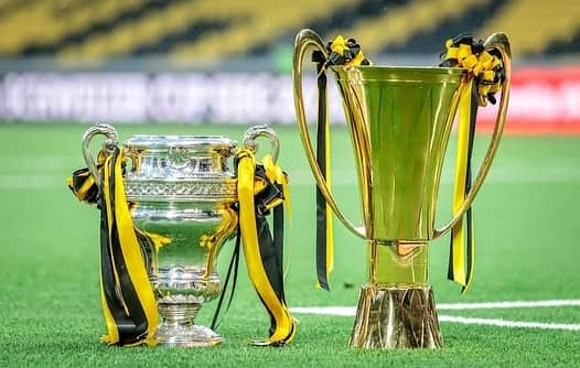 ファビアン・ルステンベルガーのインスタグラム：「🏆🏆 #immernochdoublesieger #tousensemble #geschichtegschrieben #HoppYB #JSAML28」
