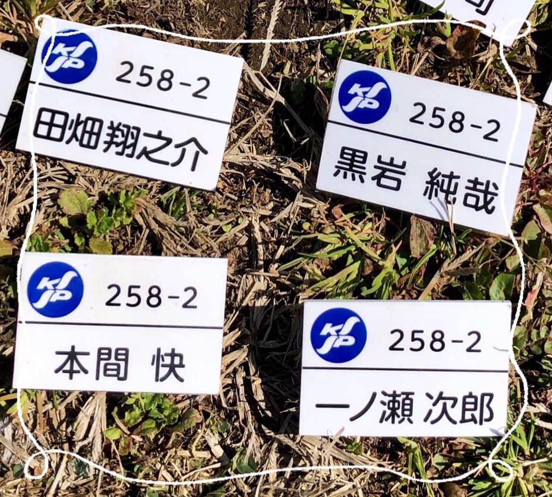 未満警察 ミッドナイトランナー【公式】のインスタグラム：「【#未満警察日誌】﻿ 警察学校の校庭シーンの撮影日(2月)、空き時間に突然 #葉山奨之 さんが「ケンティ〜〜‼️」と大声で連呼(笑)。呼ばれた #中島健人 さんは「なんだよ〜」と嬉しそうに葉山さんの元へ。一方、#小平大智 さんの元に駆け寄って飛びついた #平野紫耀 さんは、小平さんに抱っこされながらニッコリ☺️﻿ #未満警察」