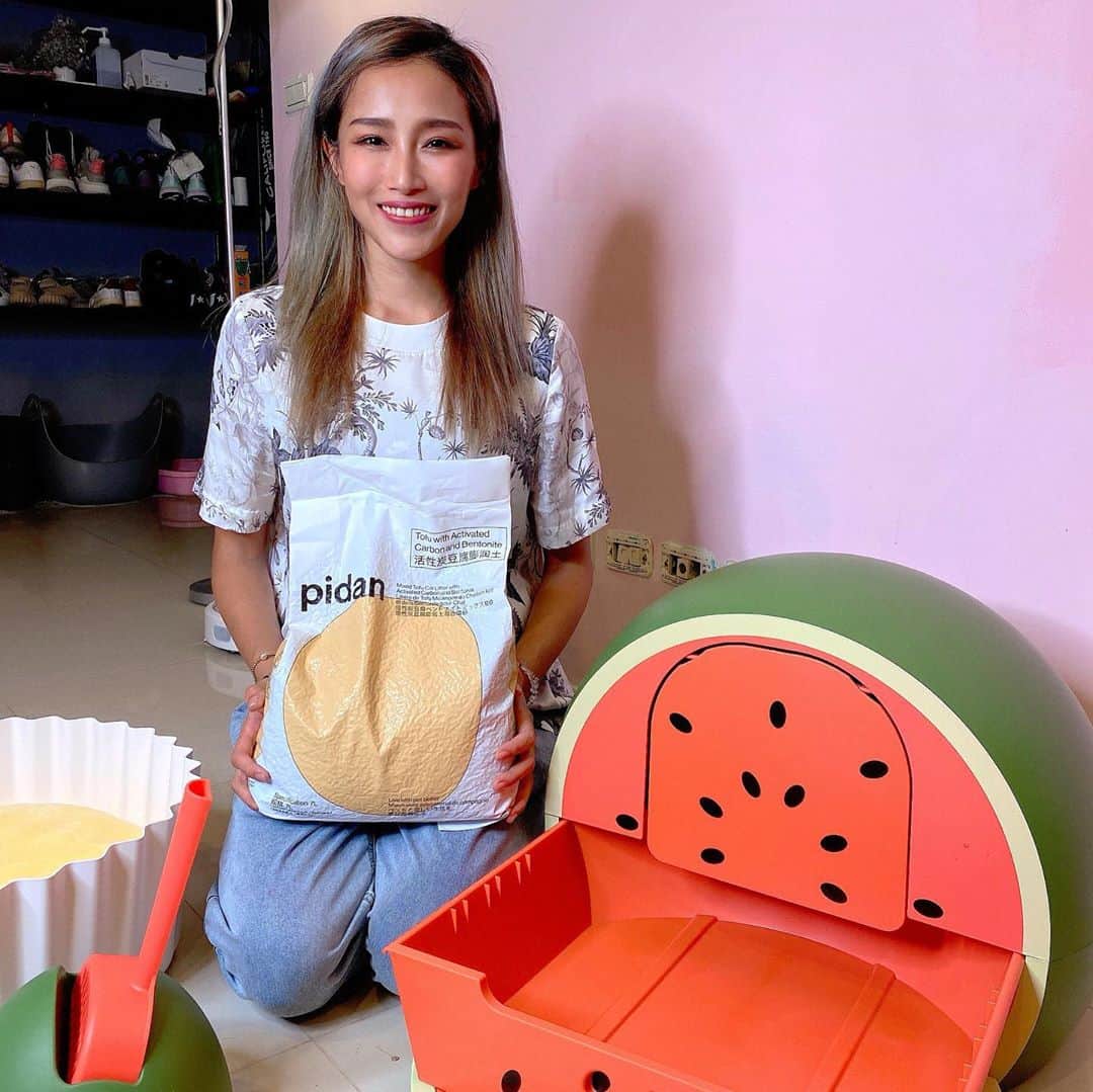 安柏兒のインスタグラム：「雖然第一眼一定是被太可愛的西瓜吸去注意力 連我的貓也是每天躺在那踏墊上 但身為專業貓奴的我 真的要表揚一下這次新使用的pidan活性碳混合貓砂 天啊⋯⋯⋯⋯！ 凝結度超讚 而且重點！不～～臭～～ 沒在開玩笑 真的有點入坑了 大讚美 @maoselect @pidan_taiwan 以前就很常逛跟購買他們家的商品 真的是Cp值超高而且玩具們居然都還是完美的狀態沒被破壞😖 太感動了  你們都不知道對於一個貓奴來說 是多麼幸福的一件事啊💓😭  #maoselect #我的mao日常 #pidantaiwan #專業貓奴戶」