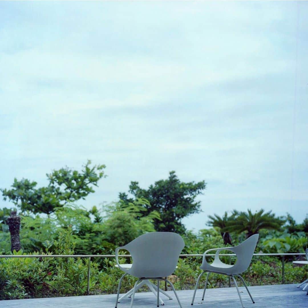 ゆうゆのグルメインスタ