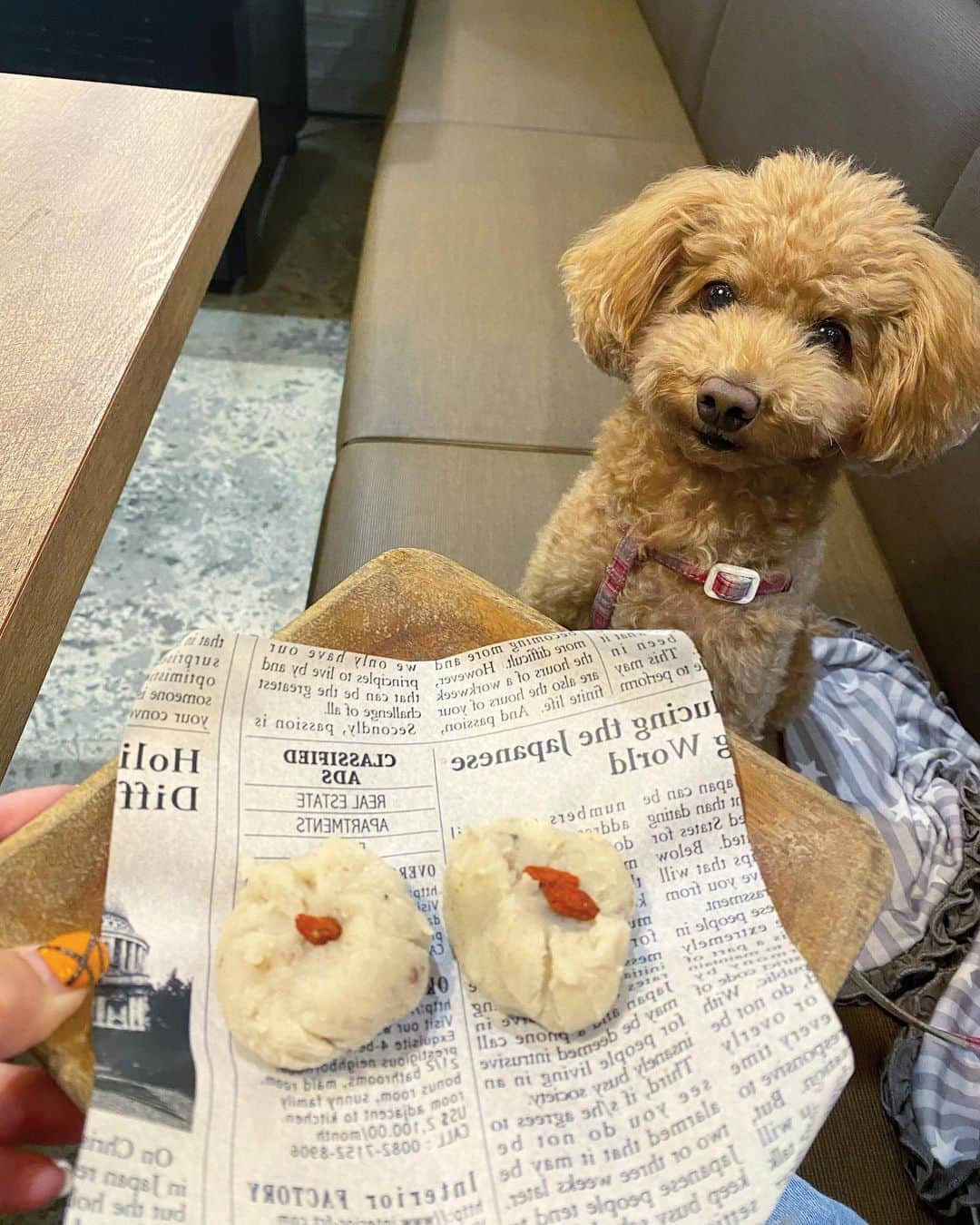 五位渕のぞみのグルメインスタ