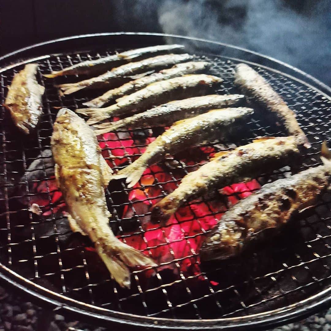 のインスタグラム：「。 贅沢じゃ～  採れたて鮎の塩焼きじゃ～  (•ө•)♡」