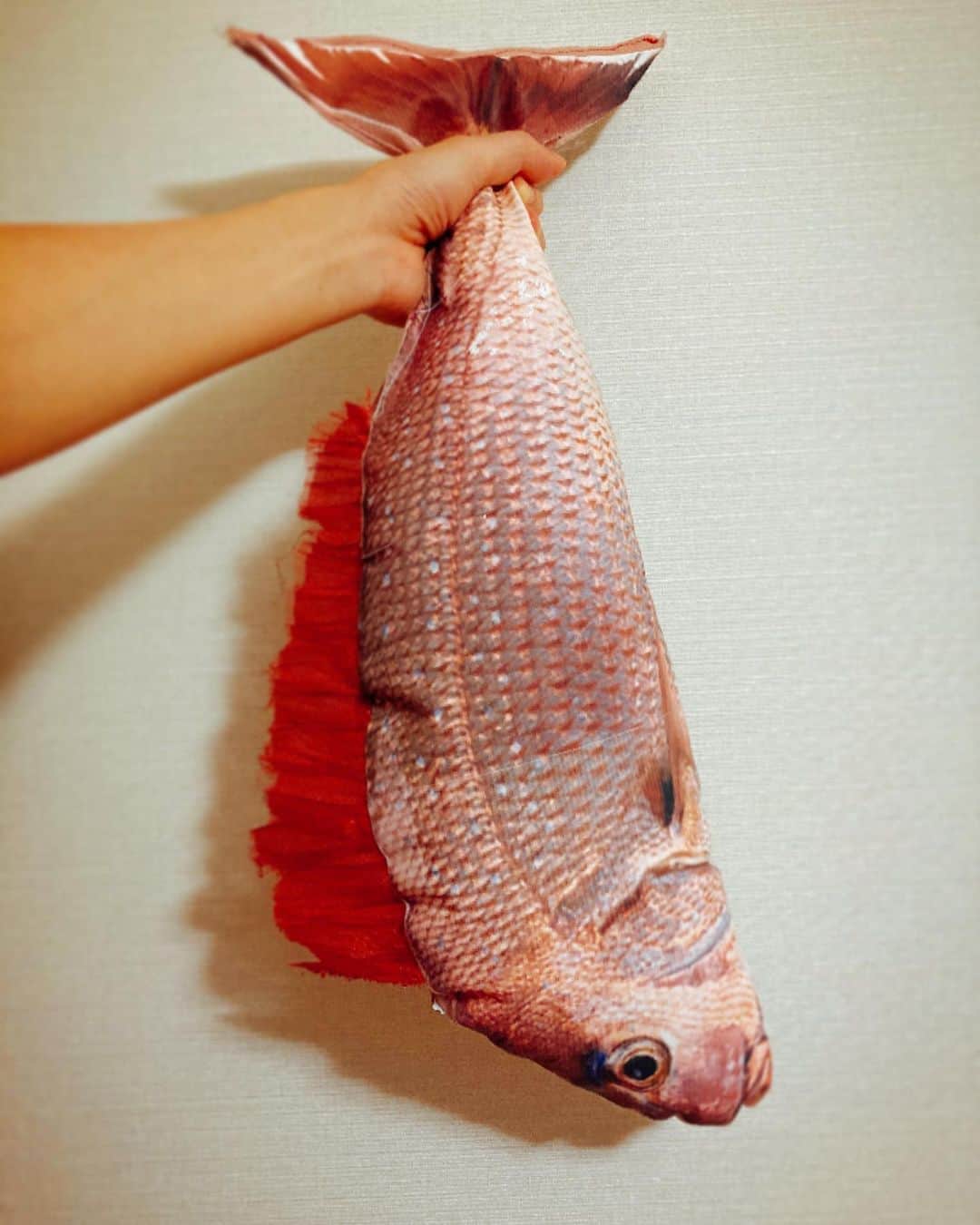 田井弘子さんのインスタグラム写真 - (田井弘子Instagram)「そー言えば、普通の枕を抱き枕にして寝てますが、  良いの入りました！  #抱き鯛   でも、ちょっと小さいか。 いやそー言う問題か？ 寝付き悪くなりそう。ピクピク動き出すかもだし(笑)  #鯛プロ #擬鯛」9月3日 22時13分 - hirokotai