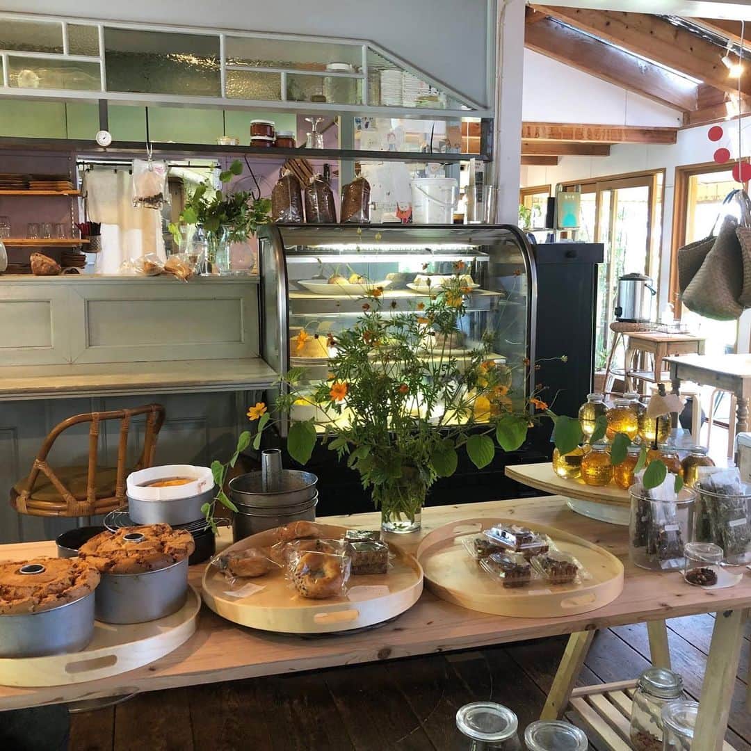 _hw_em11さんのインスタグラム写真 - (_hw_em11Instagram)「𓎸𓎻 𓉿𓌈 大牟田市にある　cafe nei 自然に囲まれていて、素敵なカフェでした🍰☕️  . . #cafenei #cafe#大牟田カフェ #lunch」9月3日 22時37分 - _hw_em11