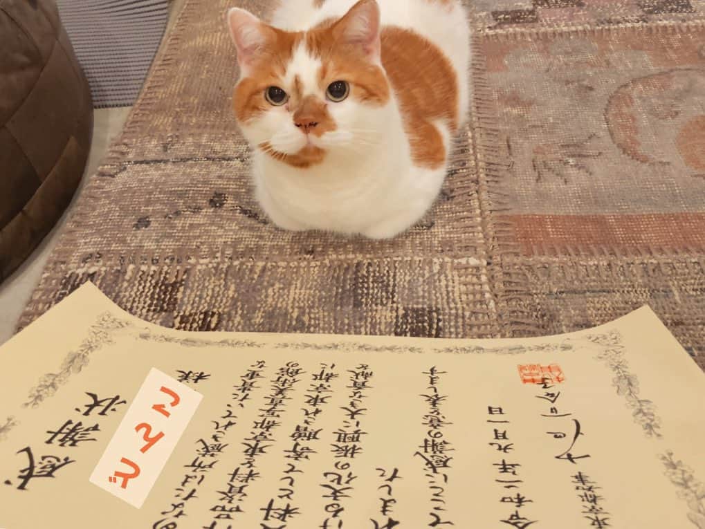 のインスタグラム：「感謝状」