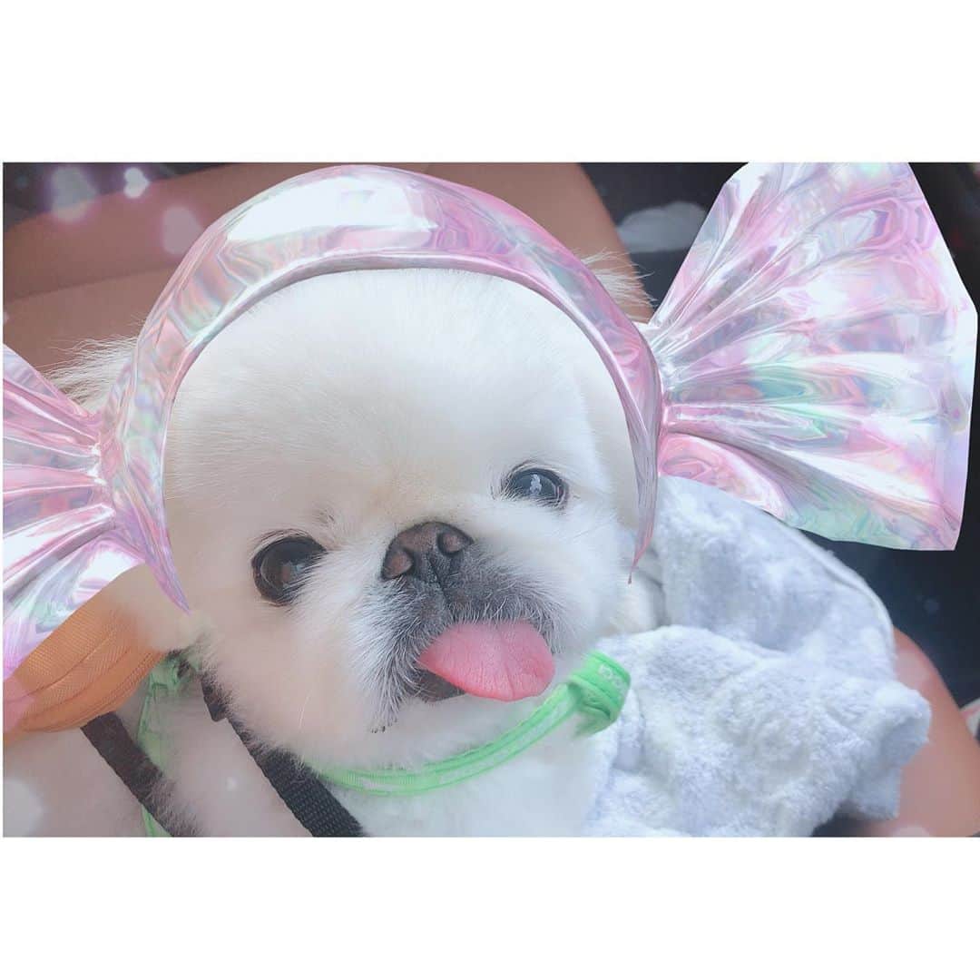 こなつのインスタグラム：「🍬🍬🍬Sweet Dream🍬🍬🍬」