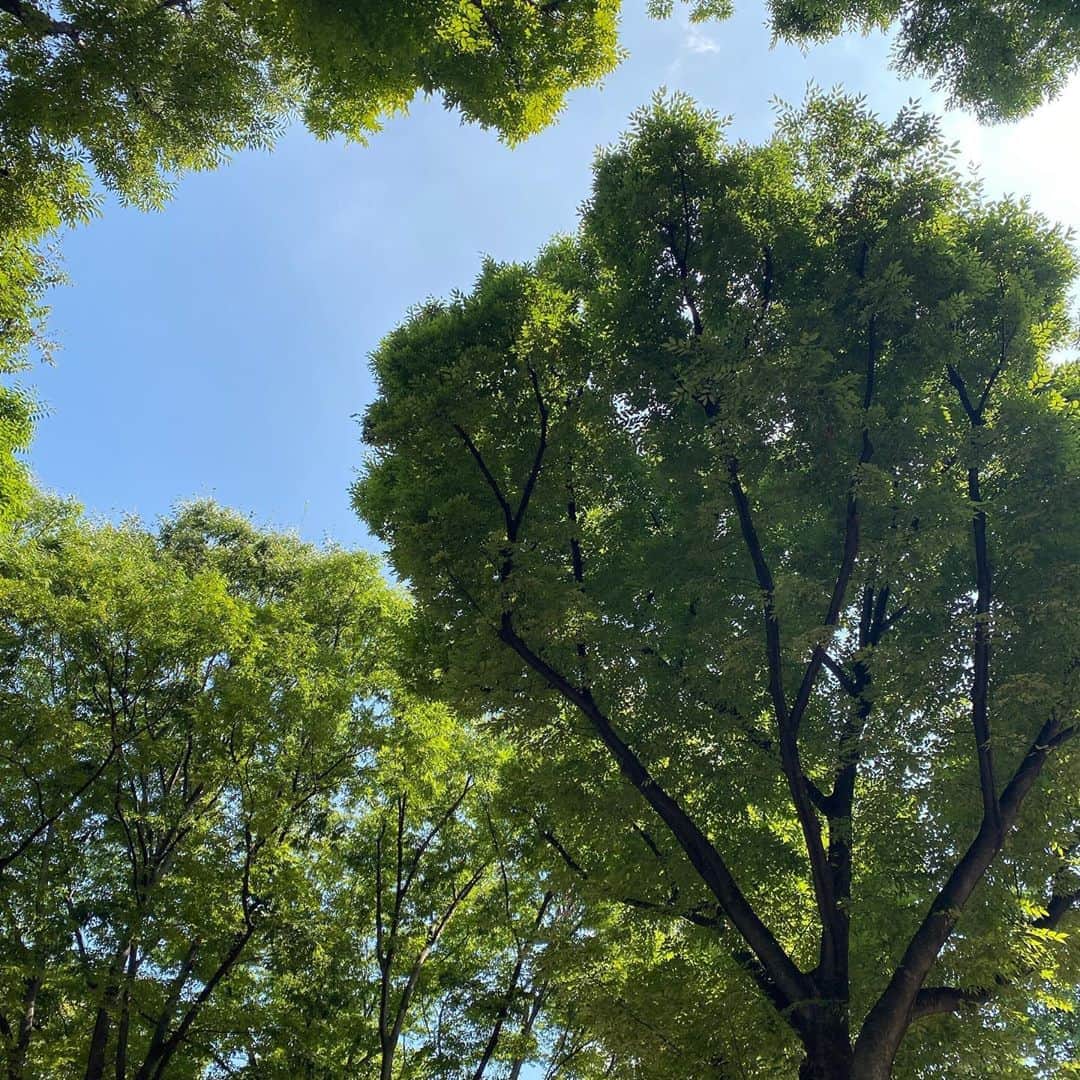由梨香さんのインスタグラム写真 - (由梨香Instagram)「夏が終わるね🍉﻿ ﻿ ﻿ #公園　#木々　#どこからか　#秋感がやってくるなぁ」9月3日 23時25分 - yurikapiano