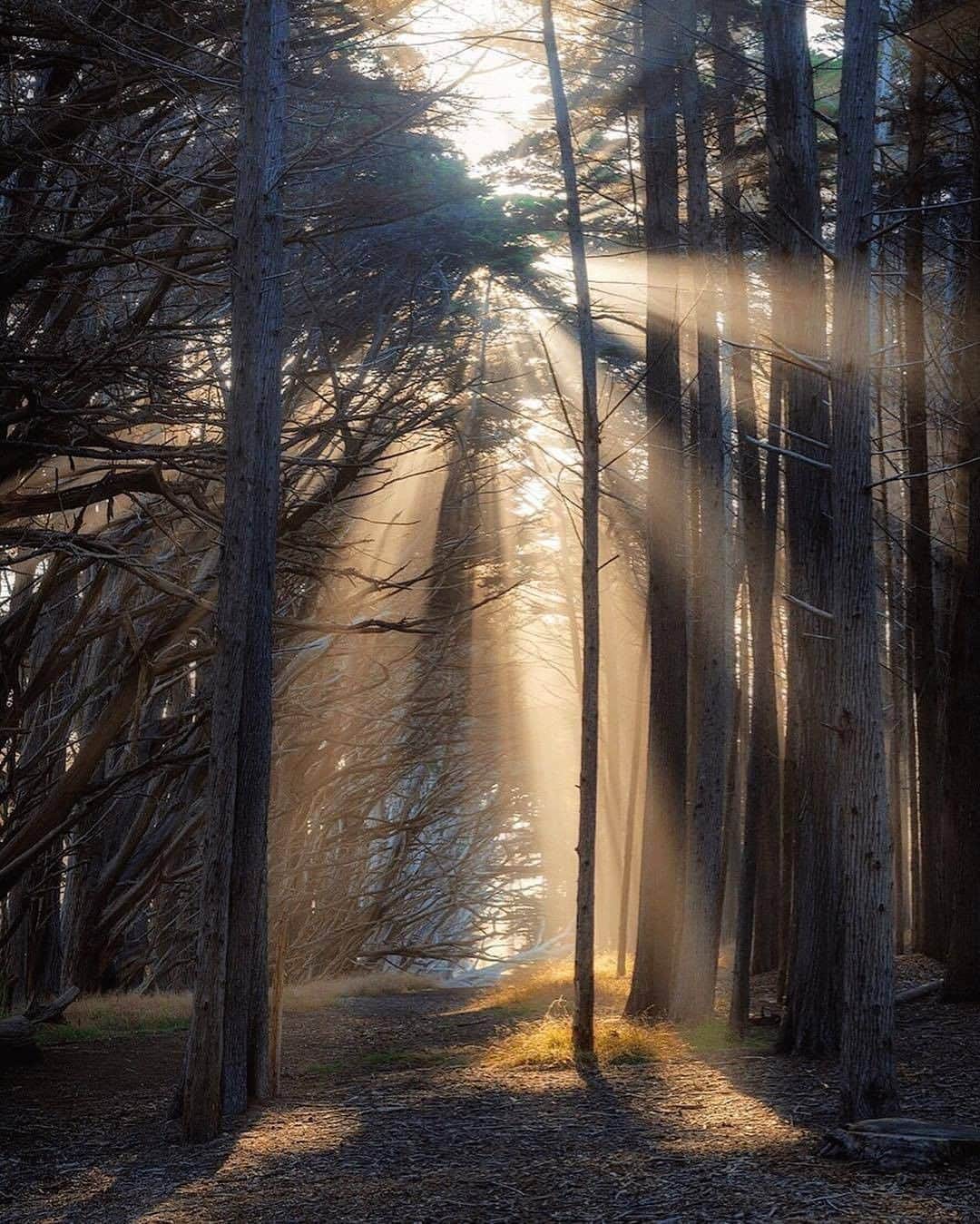 Discover Earthさんのインスタグラム写真 - (Discover EarthInstagram)「Rays of Sunshine ! "Morning rays from my favorite spot at Half Moon Bay 🌞"  🇺🇸 #discoverusa with @manuel_hutama  #California #raysofsunshine #sunshine🌞」9月4日 0時30分 - discoverearth