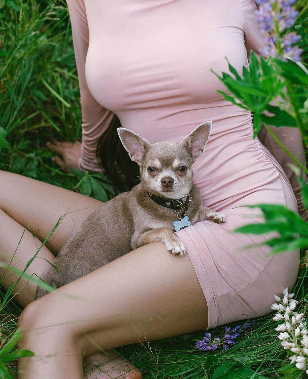 のインスタグラム：「My little helper 🐶😚」