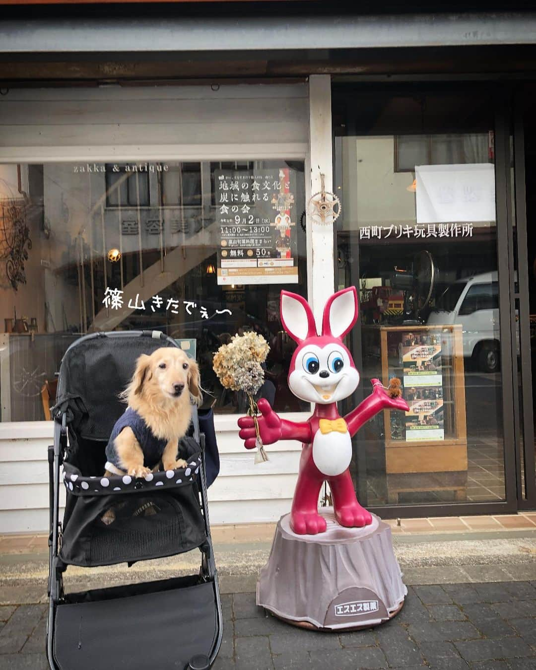 チズさんのインスタグラム写真 - (チズInstagram)「ちょっと篠山まで🚙💨💨 玩具屋さん🤖かと思ったらバー🍺みたい❤️ #西町ブリキ玩具製作所  #昭和レトロ #🐰の首超軟体 #街散策 #丹波篠山 #旅は犬連れ  #Mダックス#ダックス#ミニチュアダックス #親父犬#シニア犬#ミニチュアダックスフンド #ミニチュアダックスクリーム#短足部 #短足犬#カニンヘンダックス #ダックス14歳#カニンヘンダックスフンド#犬は家族#犬のいる生活#シニアライフ#インスタでわんこみるのが日課 ♡♡」9月4日 0時52分 - sqi.chizu