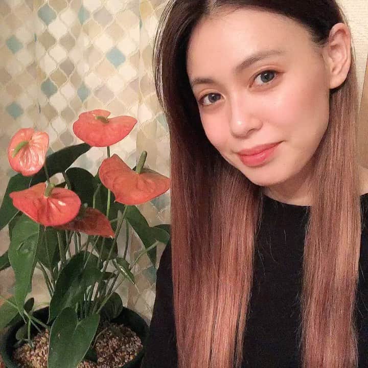 のインスタグラム：「♡ お風呂上がりの髪の毛が 好き。 ・ ・ bedroomに新しい子。 エコプラントでもある アンスリウム♪♪ ・ ・ とても可愛い。 大好き❤ ・ ・ ・ #1日1大好き #優美 #ゆうみ #me #昭和感 #大好き #ダイスキ #daisuki #love #❤️ #アンスリウム #エコプラント」
