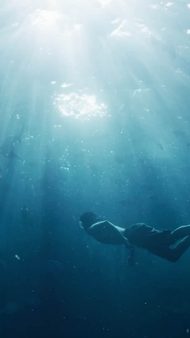 レイチェル・スカーステンのインスタグラム：「In partnership with @sealegacy & @global_wildlife_conservation I am asking you to watch this short video and sign a petition to end the trade, sale and consumption of terrestrial wild animals. Not only does this practice threaten their very existence and the biodiversity of our planet (not to mention the obvious and inconceivable cruelty) but did you know 71% of all zoonotic emerging infectious diseases (Covid 19 being one) in the past few decades have originated from wild animal markets? The petition only takes a moment. Your voice matters. www.extinctionendshere.org」