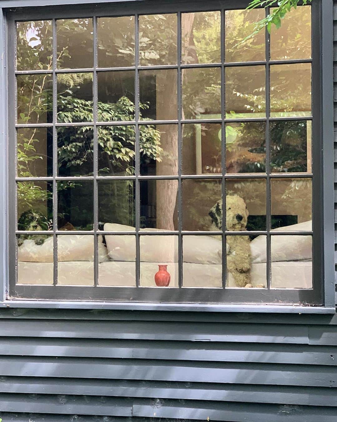 ジェニファー・エスポジートのインスタグラム：「I’m so glad I have a white couch. #dirtbags  There are two culprits in this pic. One is a bit more discreet」